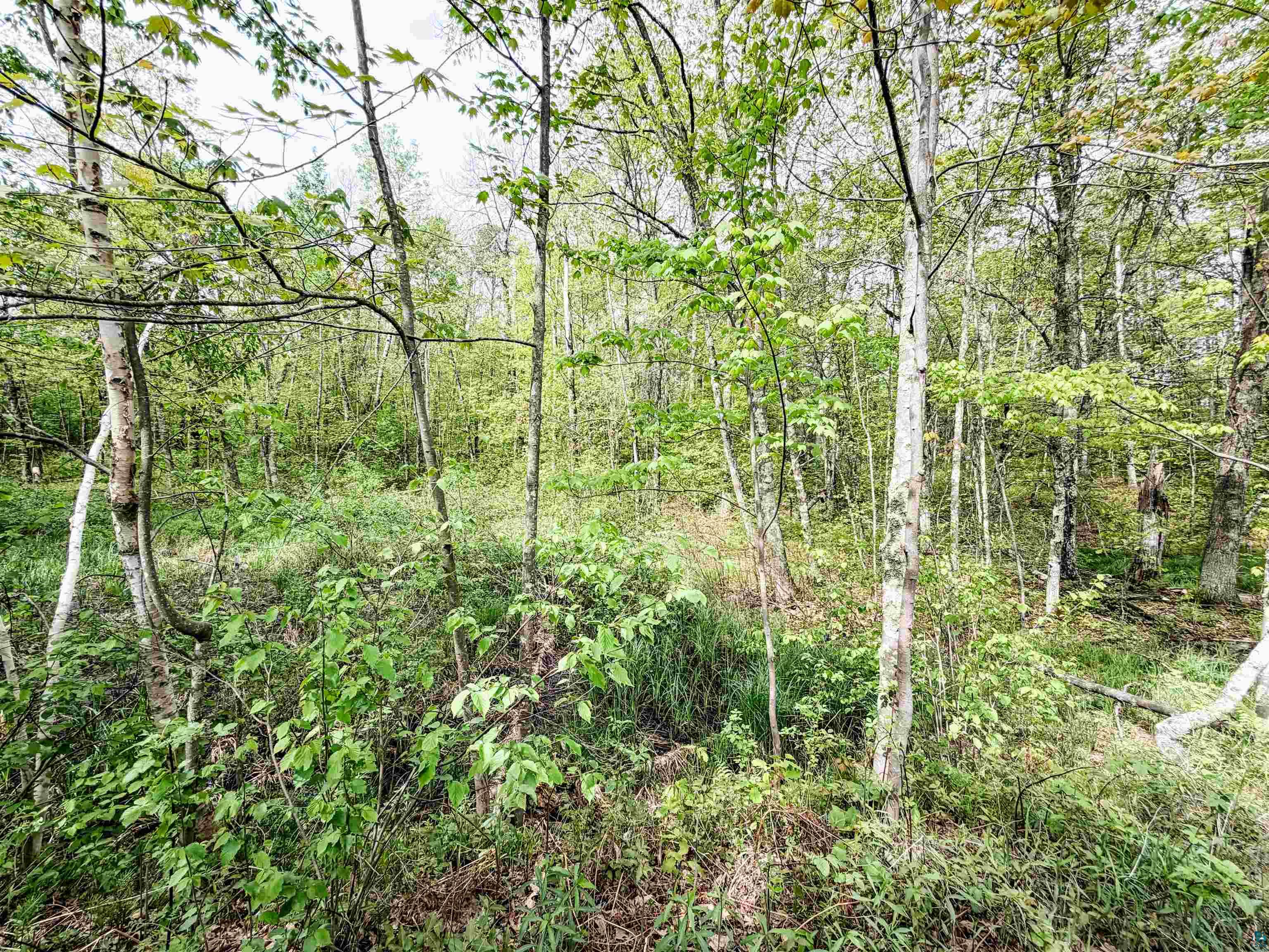 Lot 1 Peterson Rd Wascott WI 54859 6125207 image4
