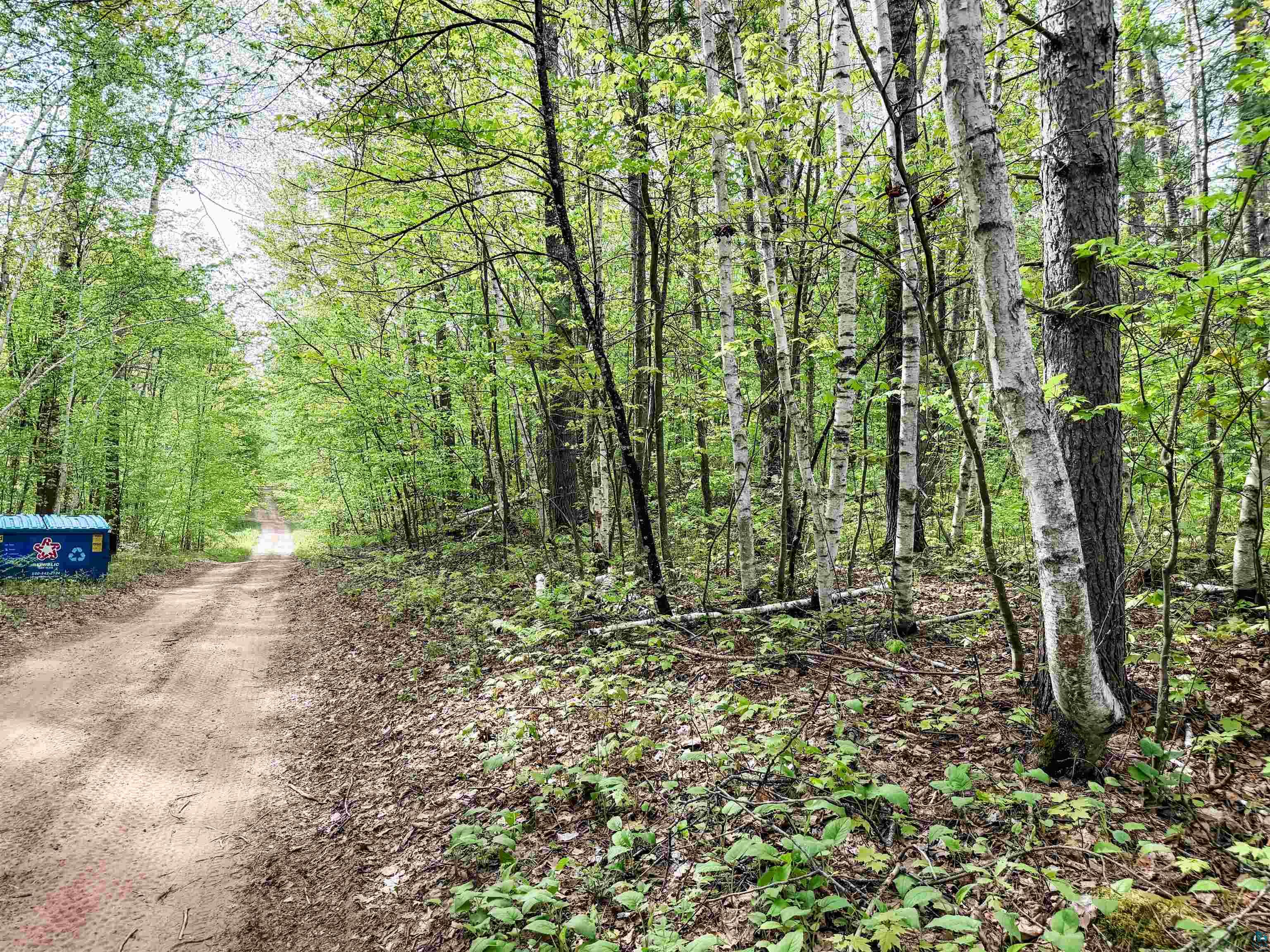 Lot 1 Peterson Rd Wascott WI 54859 6125207 image7