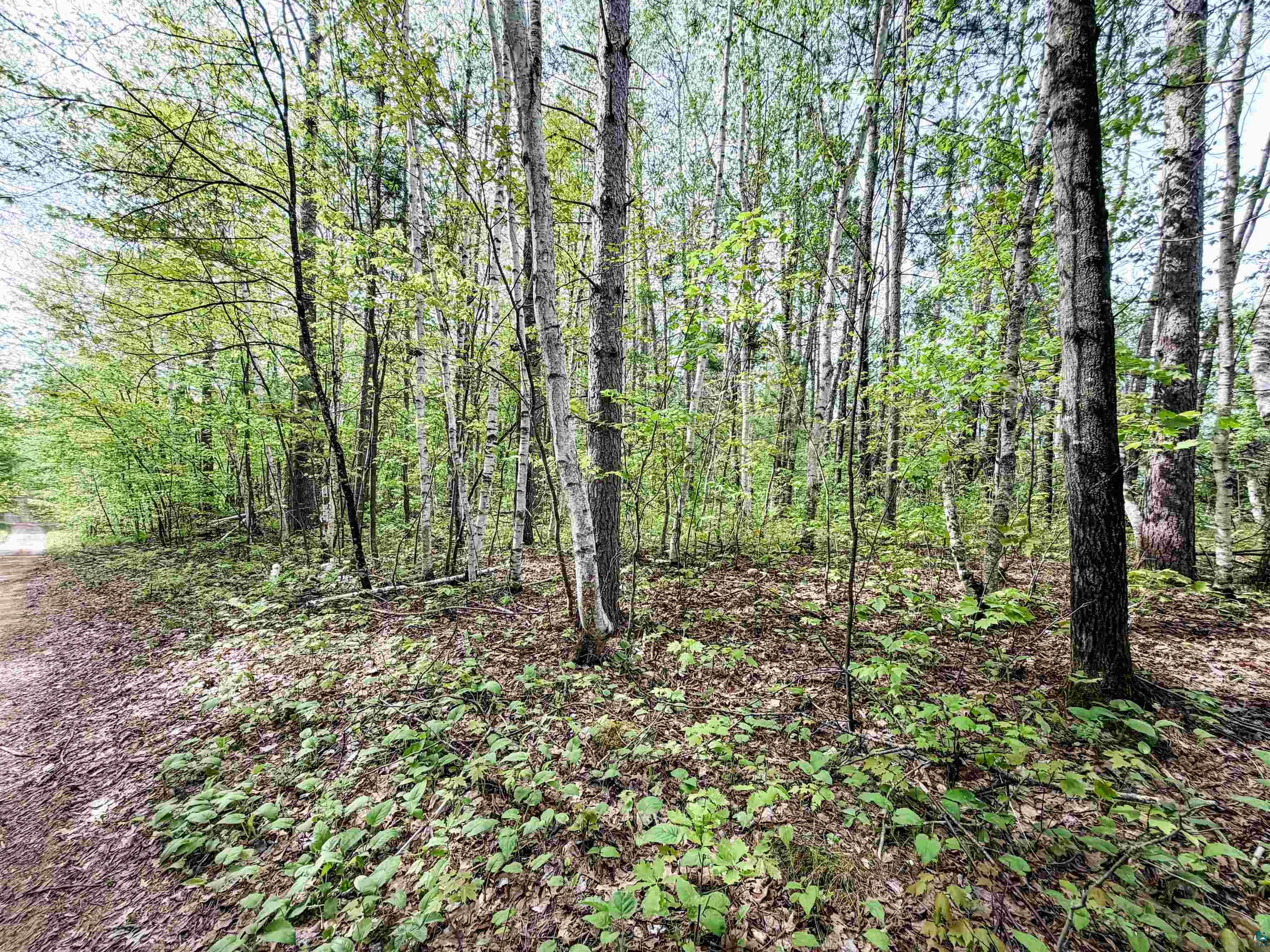 Lot 1 Peterson Rd Wascott WI 54859 6125207 image8