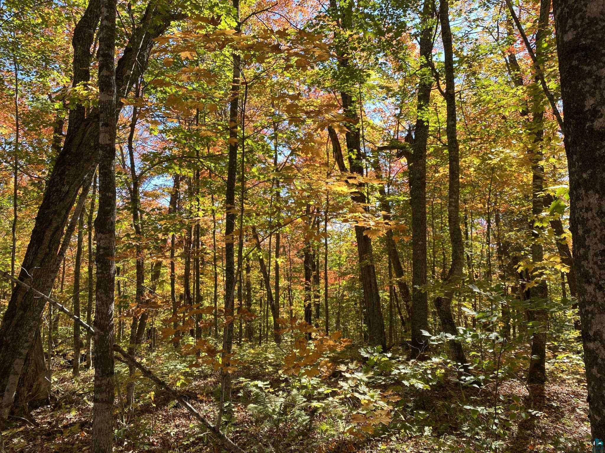 Lot 10 Block 3 Hillside Dr Lutsen MN 55612 6108145 image1