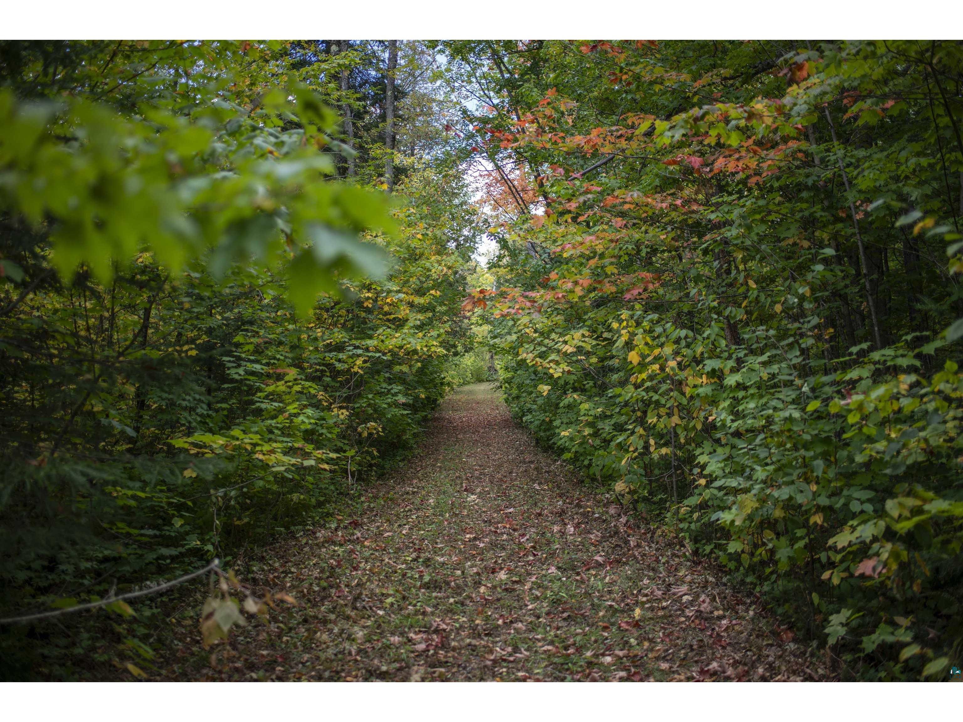 Lot 10 Victory Ln Grand Marais MN 55604 6116285 image1