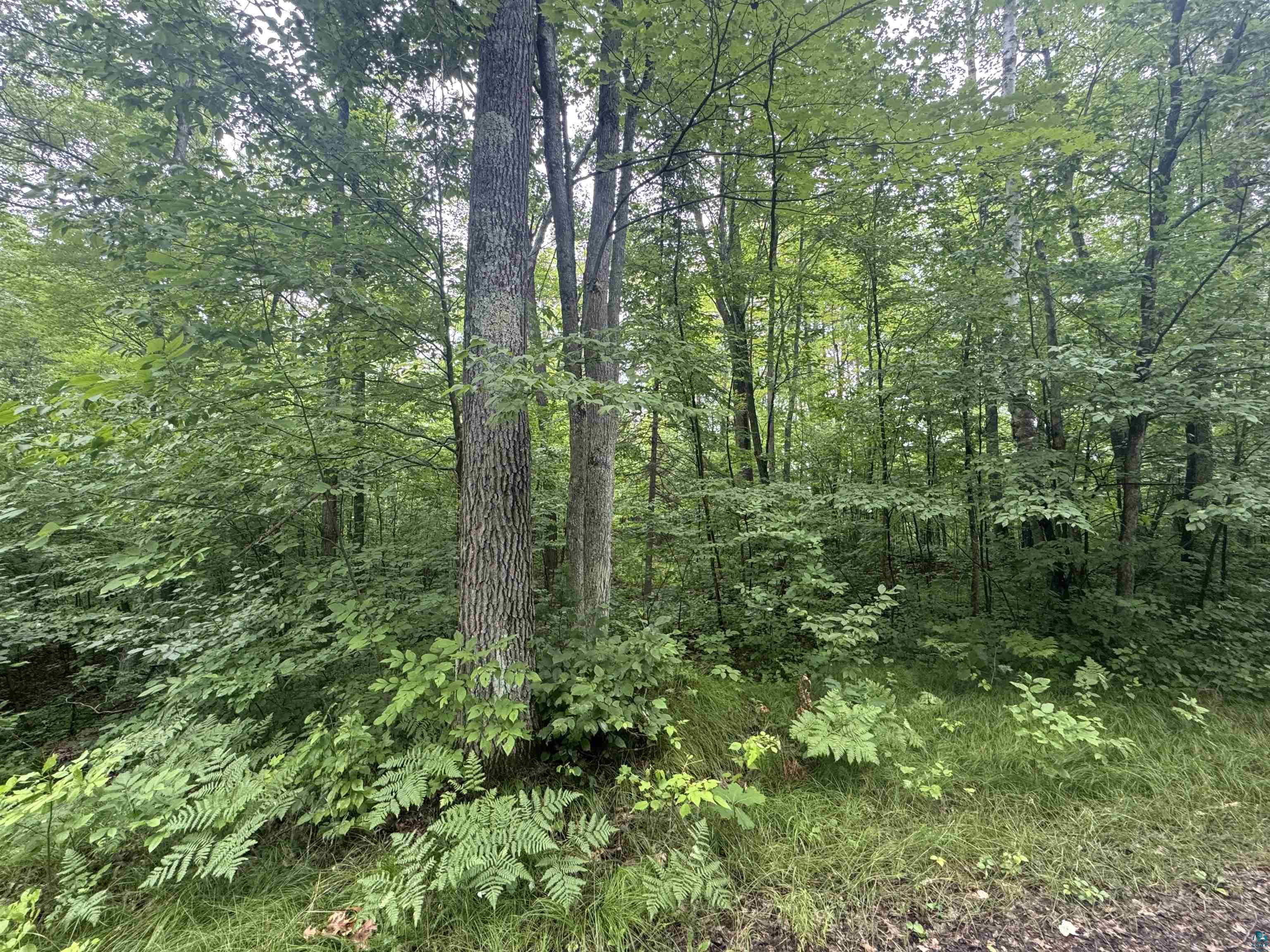 Lot 17 & 18 Sleepy Fawn Ln Delta WI 54847 - Delta 6116671 image4