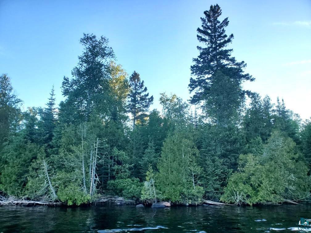 Lot 17 Cedar Tr E Greenwood Lake Grand Marais MN 55604 - Greenwood Lake 6108850 image1