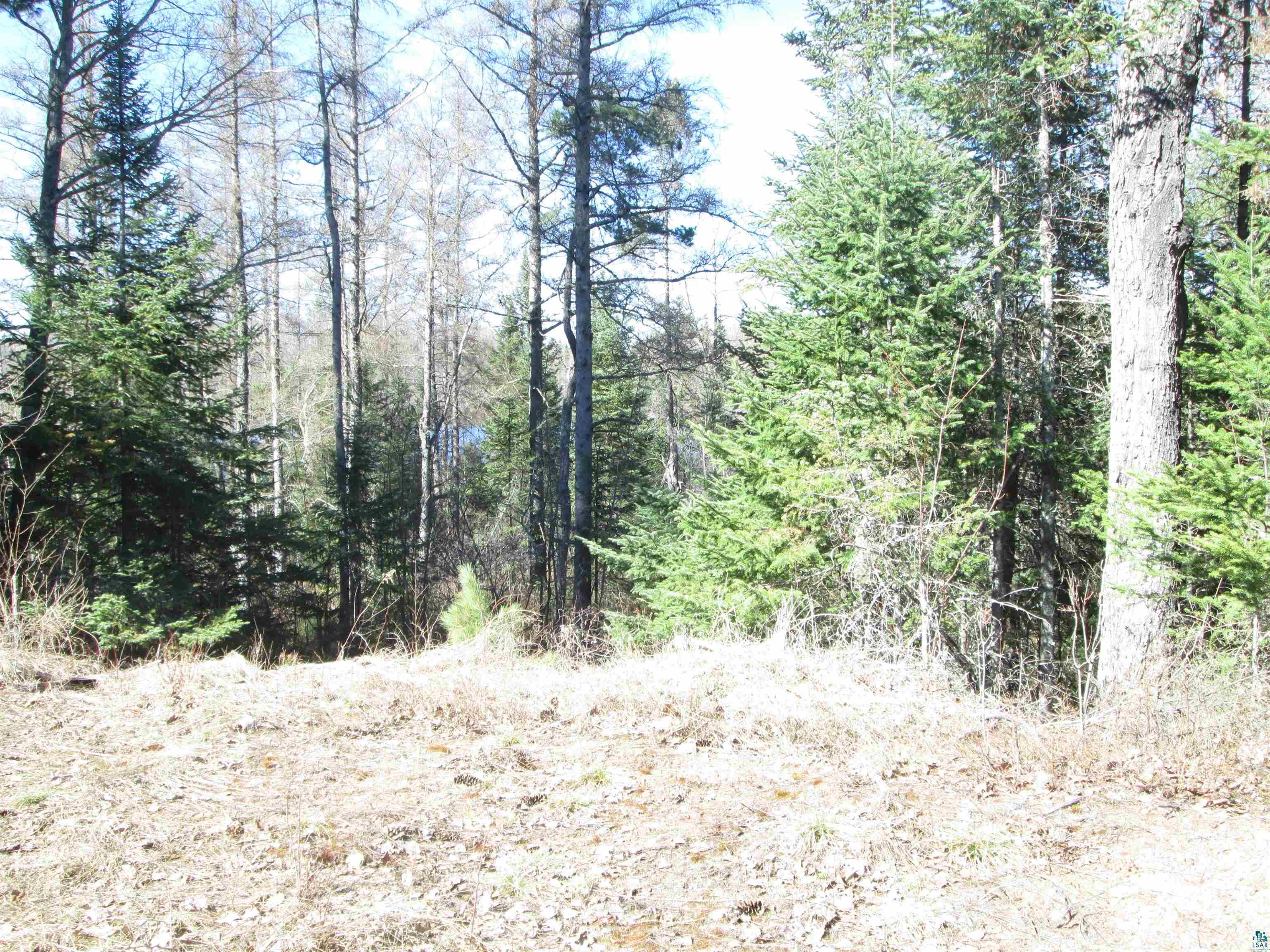 Lot 2 40 acres County Rd L South Range WI 54874 6123933 image24