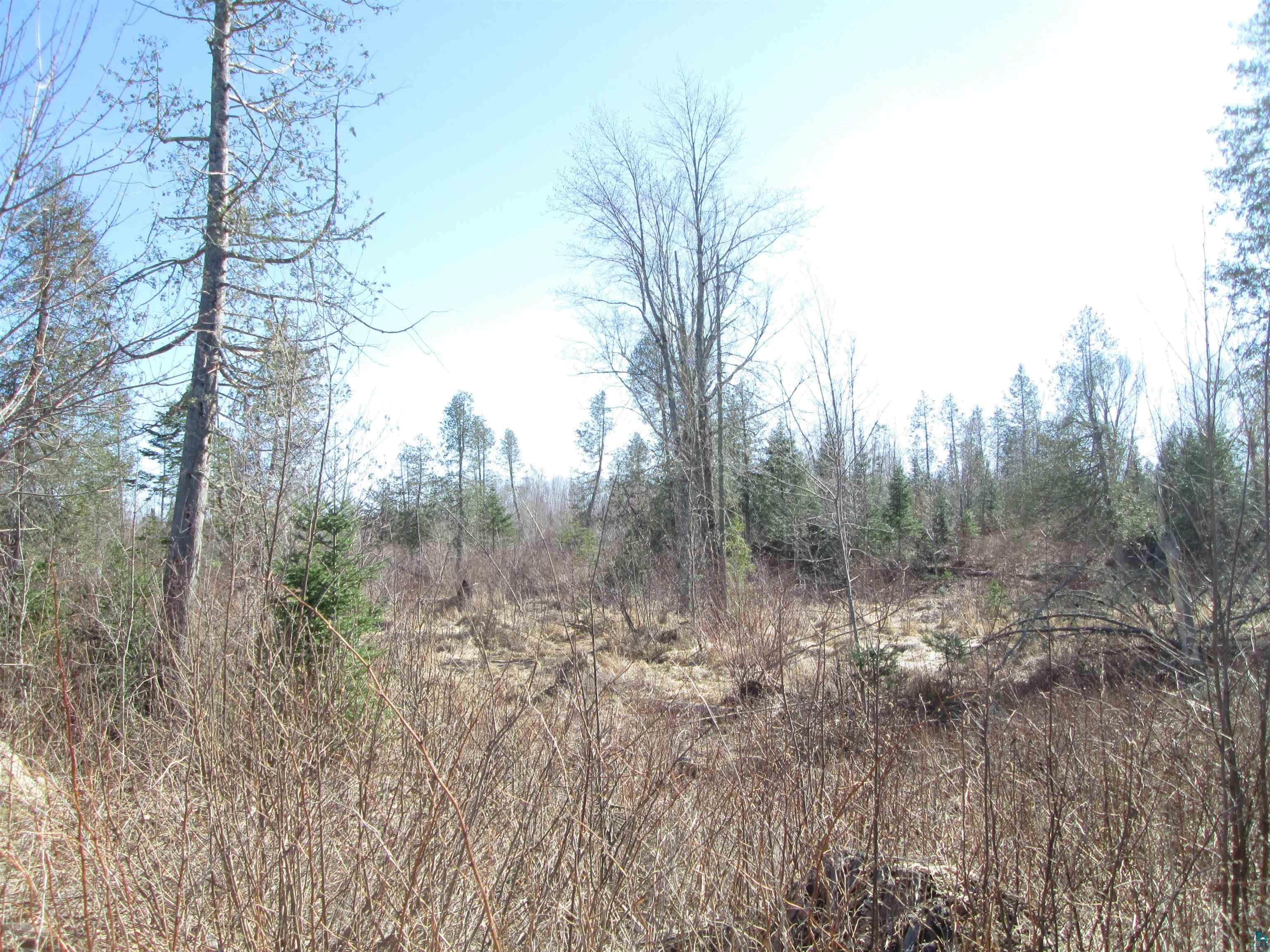 Lot 2 40 acres County Rd L South Range WI 54874 6123933 image30