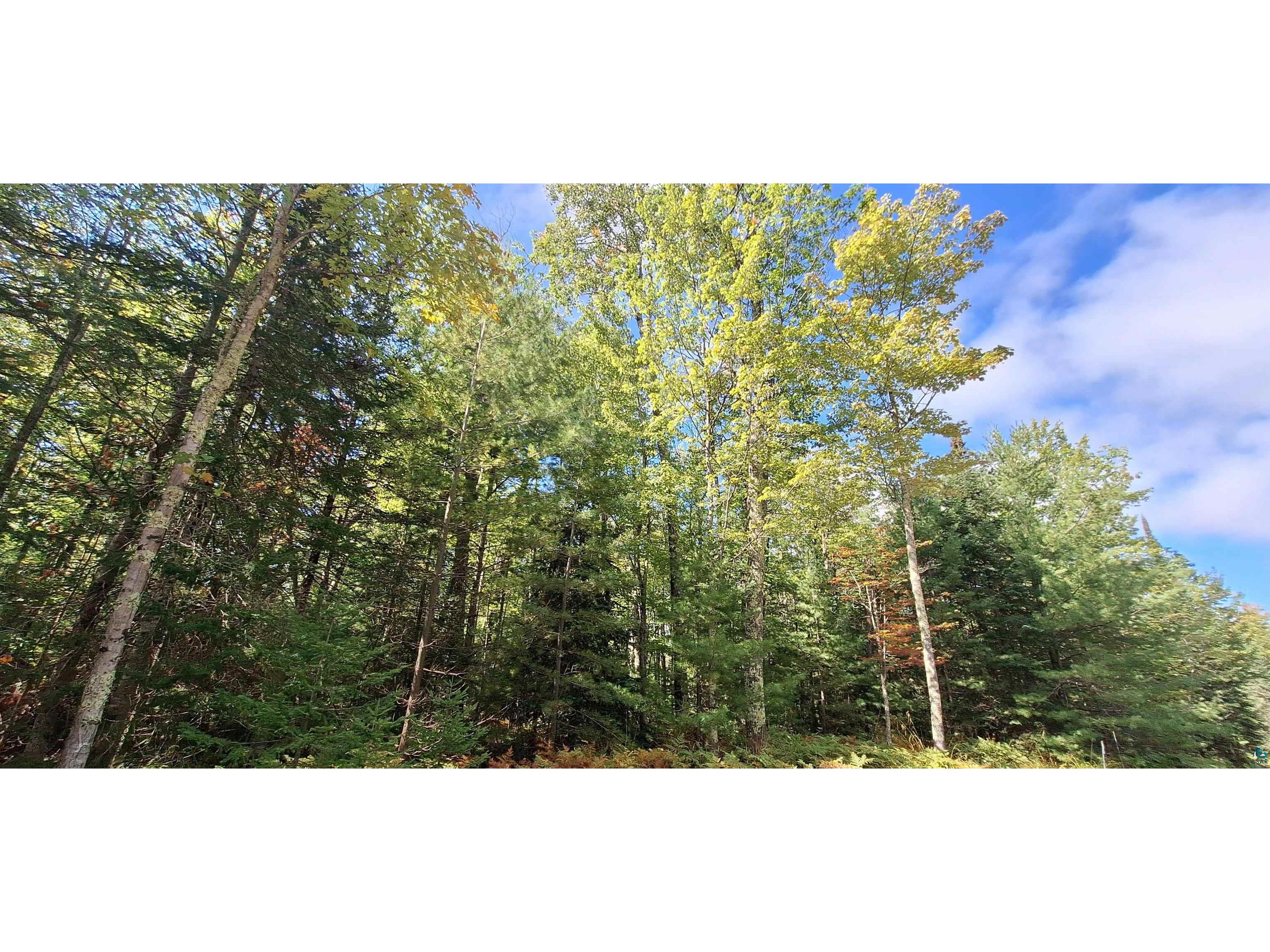 Lot 2 Block 2 Raspberry Trl Lapointe WI 54850 6119901 image2