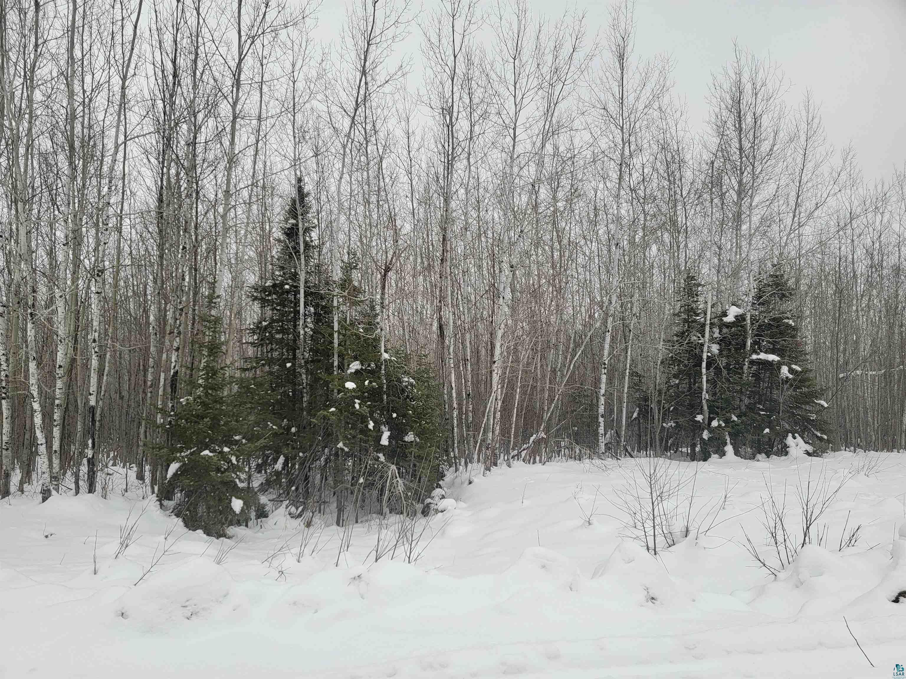 Lot 2 Bluff Creek Tr South Range MN 54880 6106610 image1