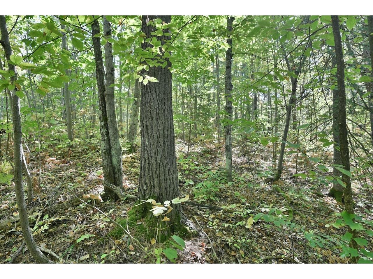 Lot 2 County Hwy C Cornucopia WI 54827 6116309 image1