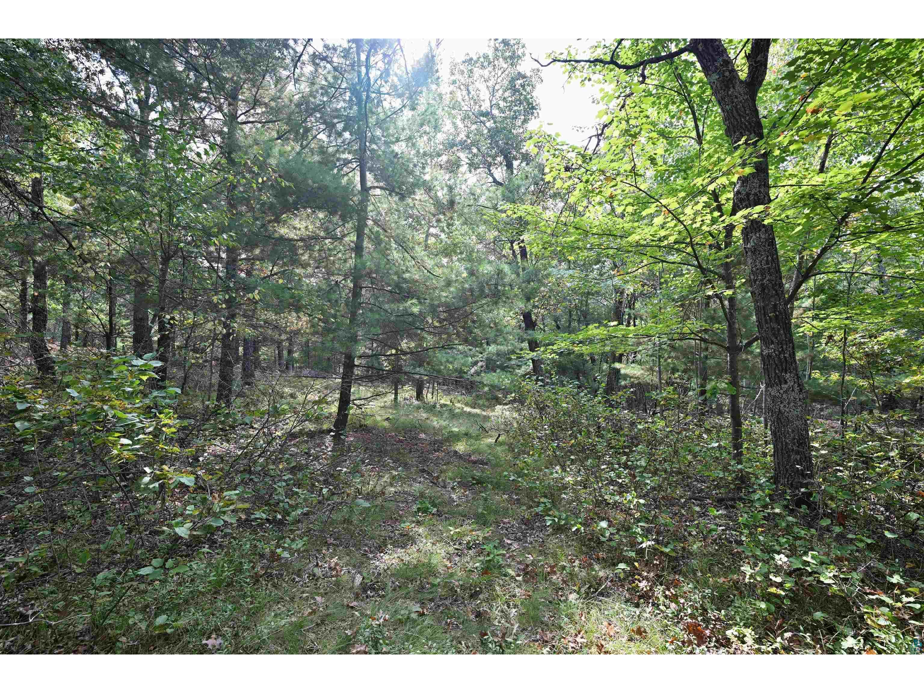 Lot 2 Dragon Dr Minong WI 54859 - Nancy 6124505 image8