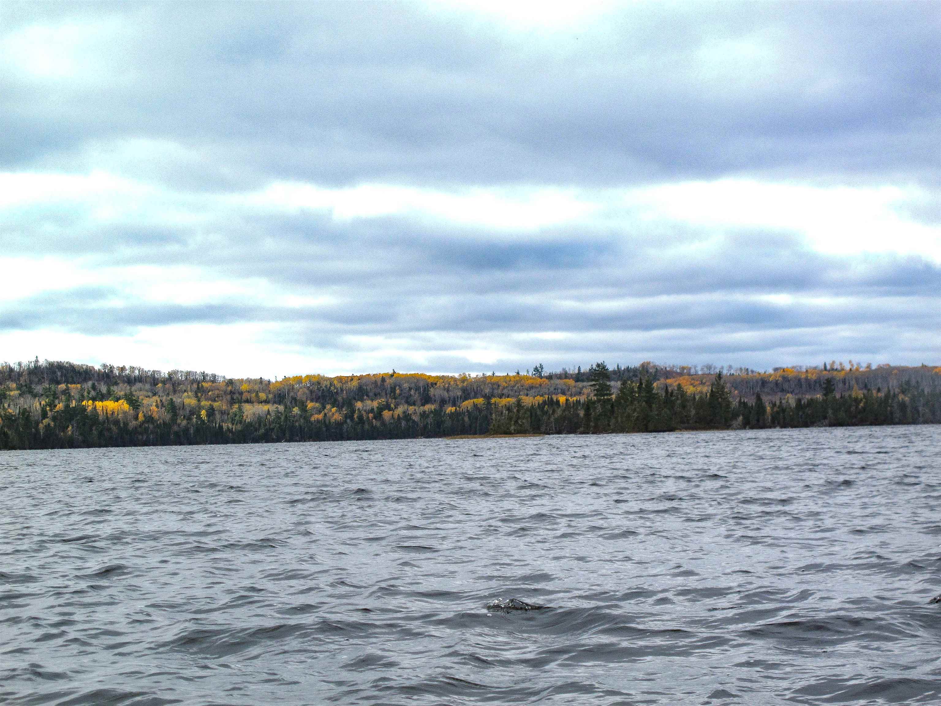 Lot 2 Fullerton Rd Hovland MN 55606 - Devilfish 6122626 image10