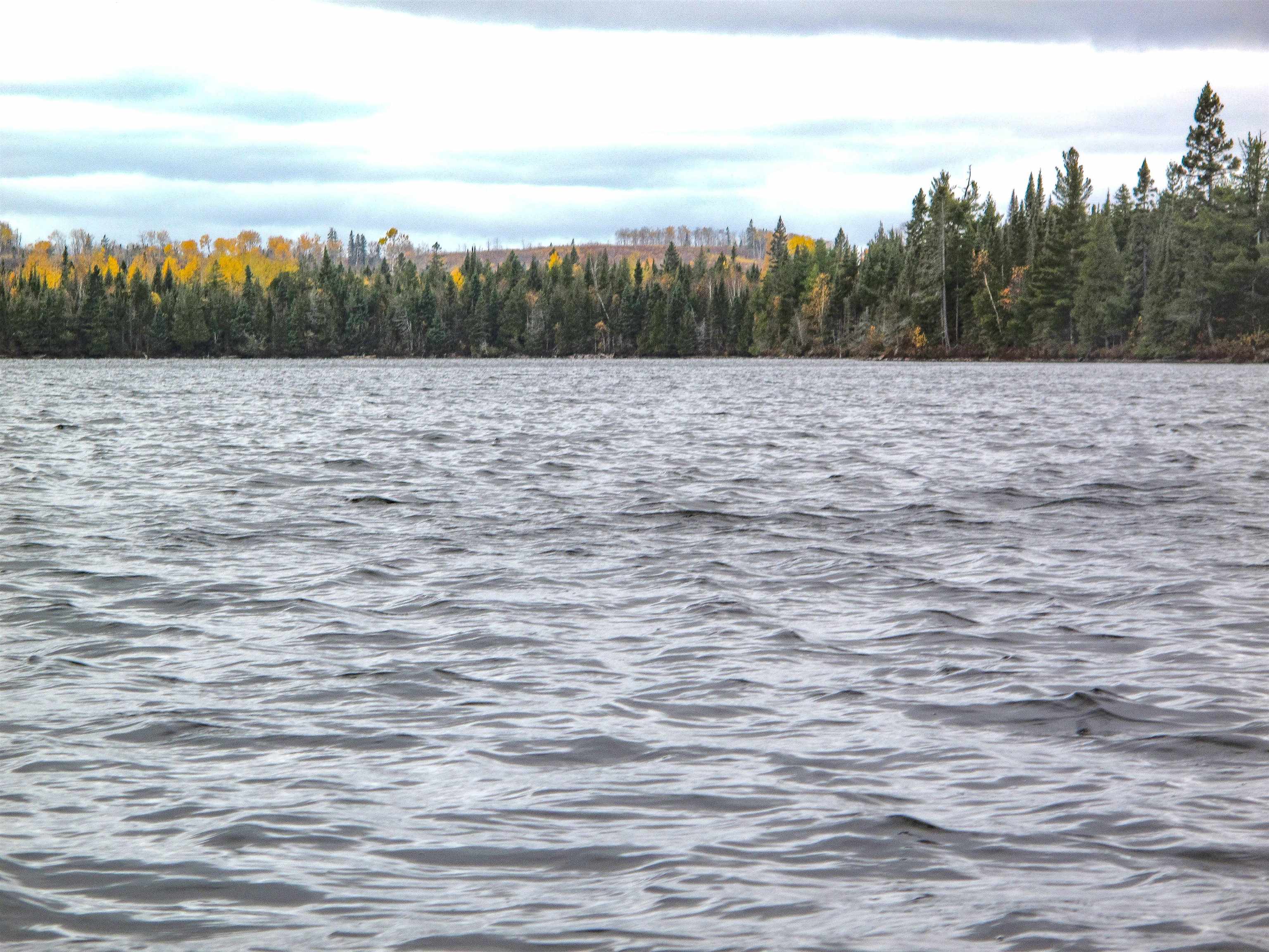 Lot 2 Fullerton Rd Hovland MN 55606 - Devilfish 6122626 image13