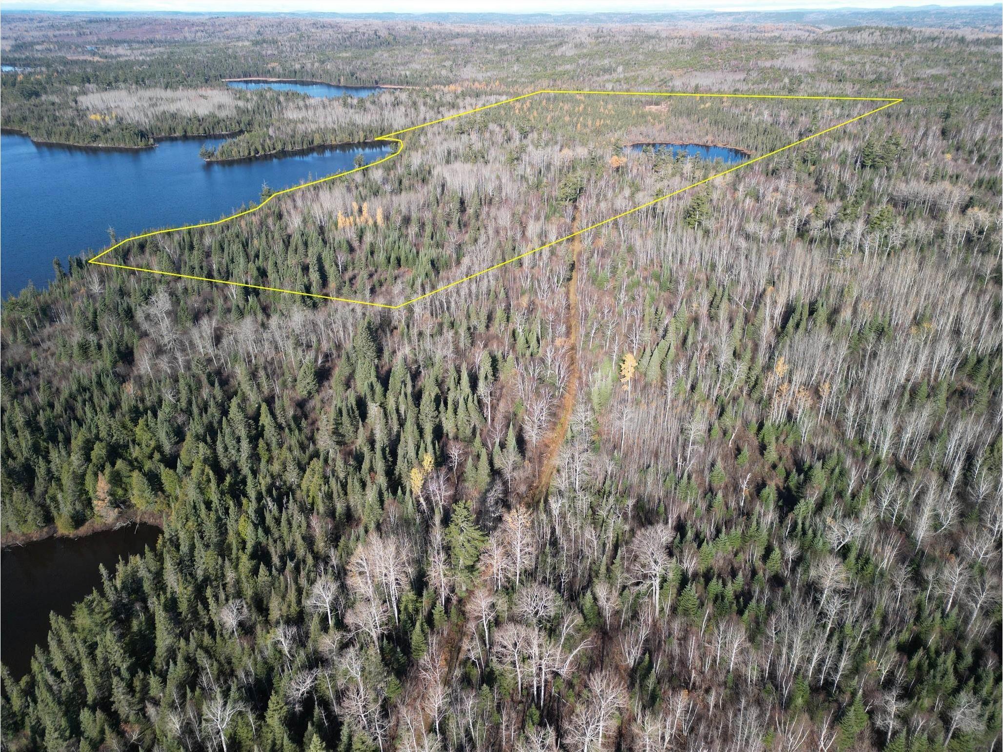 Lot 2 Fullerton Rd Hovland MN 55606 - Devilfish 6122626 image2