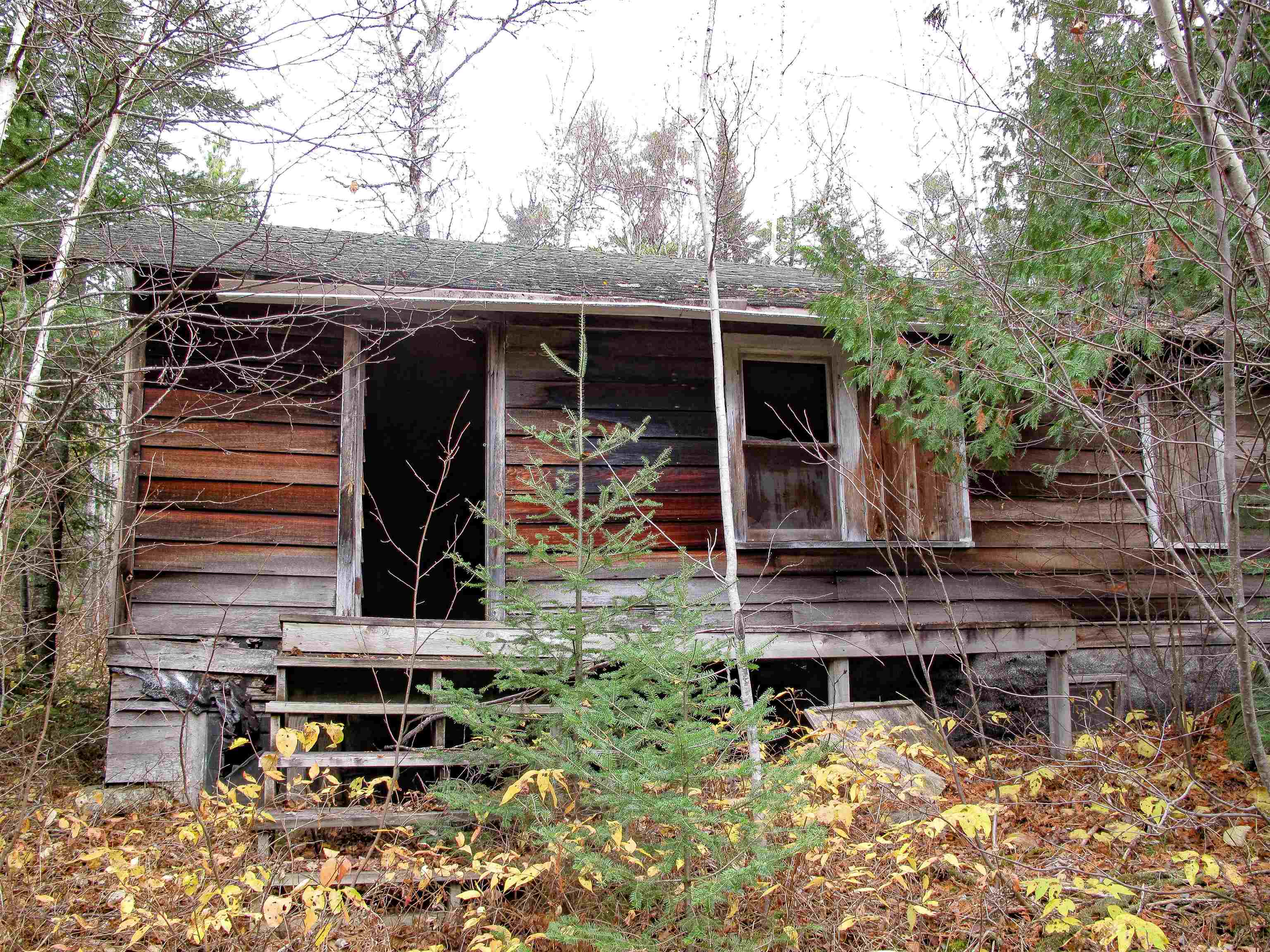 Lot 2 Fullerton Rd Hovland MN 55606 - Devilfish 6122626 image22