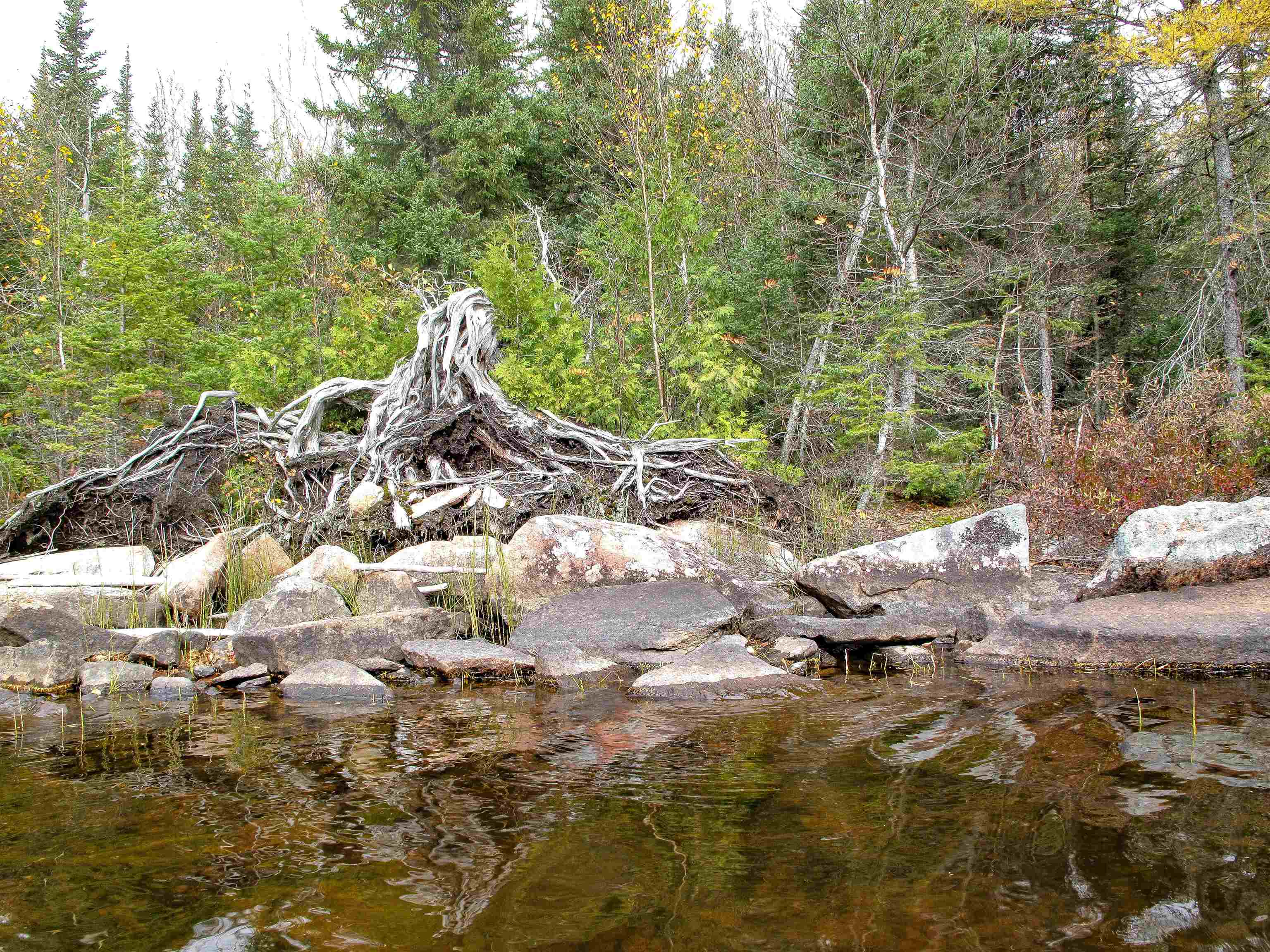 Lot 2 Fullerton Rd Hovland MN 55606 - Devilfish 6122626 image32