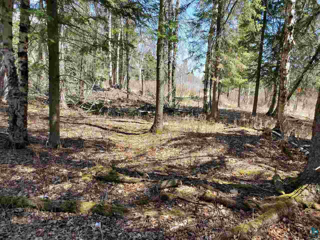Lot 2 Hoaglund Dr Tofte MN 55615 6126795 image1