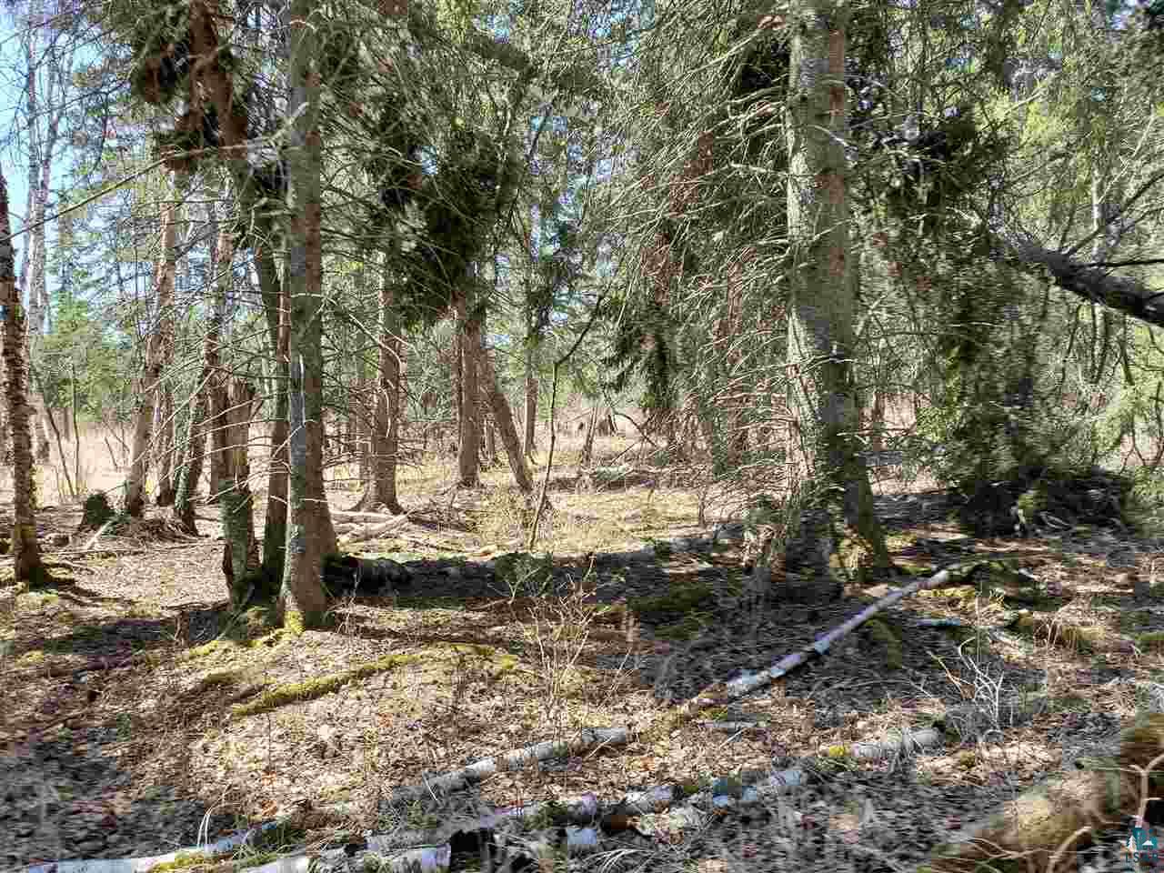 Lot 2 Hoaglund Dr Tofte MN 55615 6126795 image2