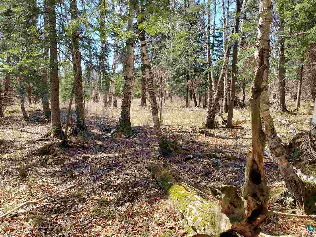 Lot 2 Hoaglund Dr Tofte MN 55615 6126795 image3