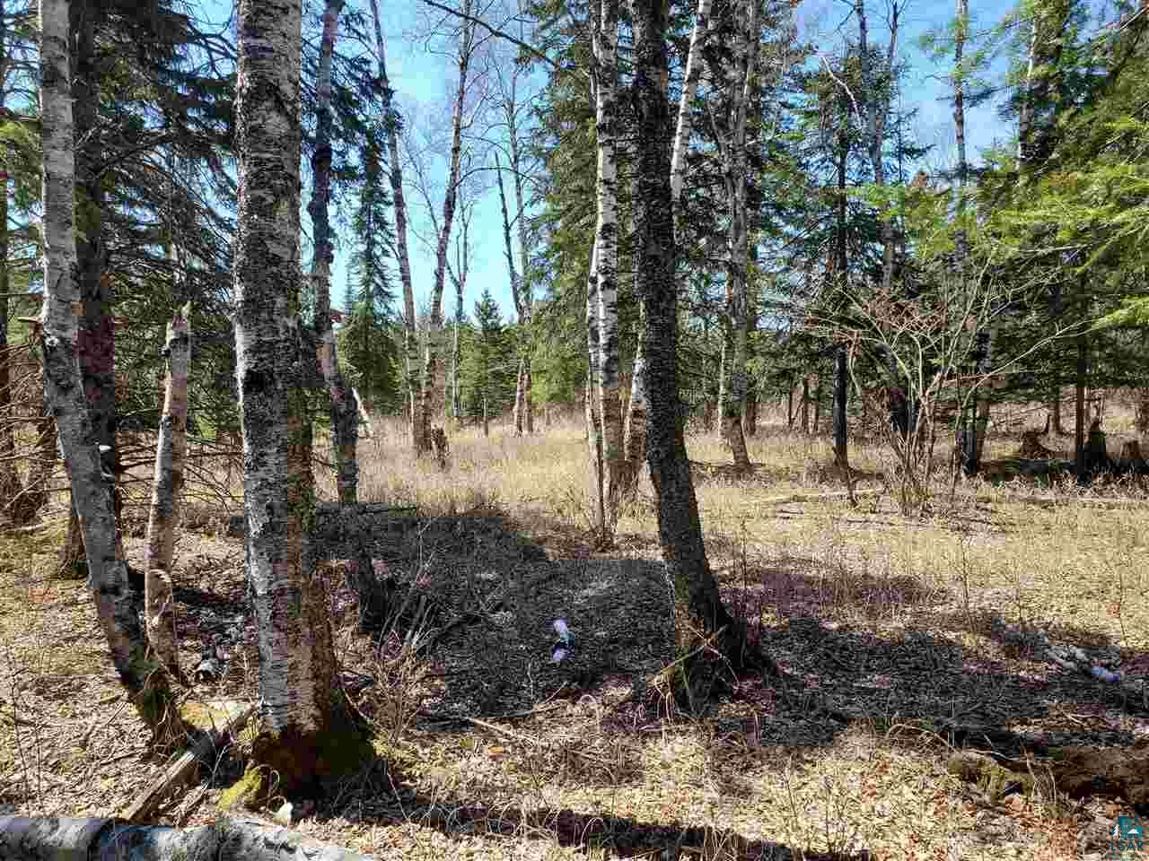 Lot 2 Hoaglund Dr Tofte MN 55615 6126795 image4