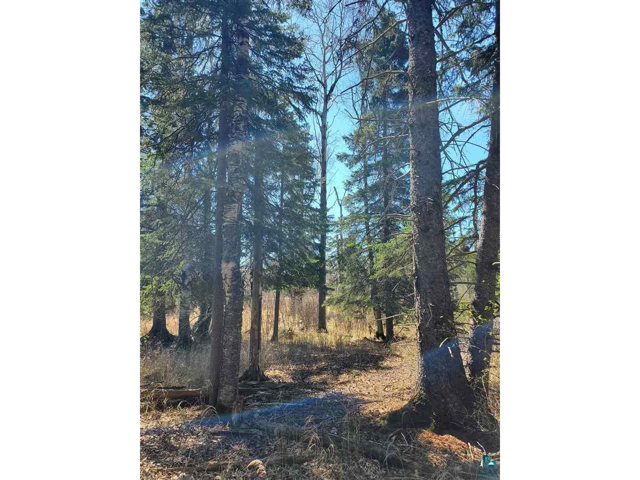 Lot 2 Hoaglund Dr Tofte MN 55615 6126795 image5