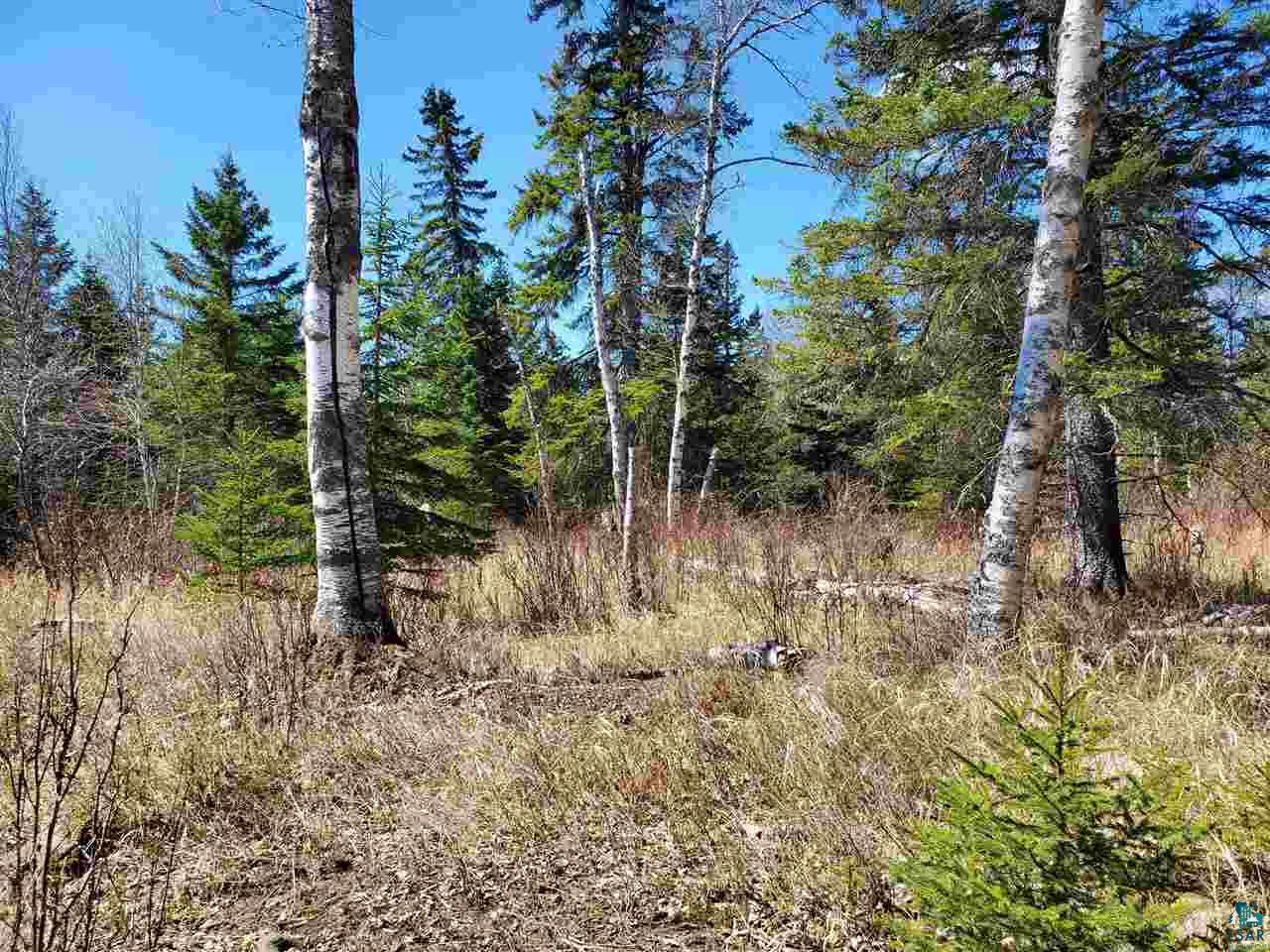 Lot 2 Hoaglund Dr Tofte MN 55615 6126795 image6