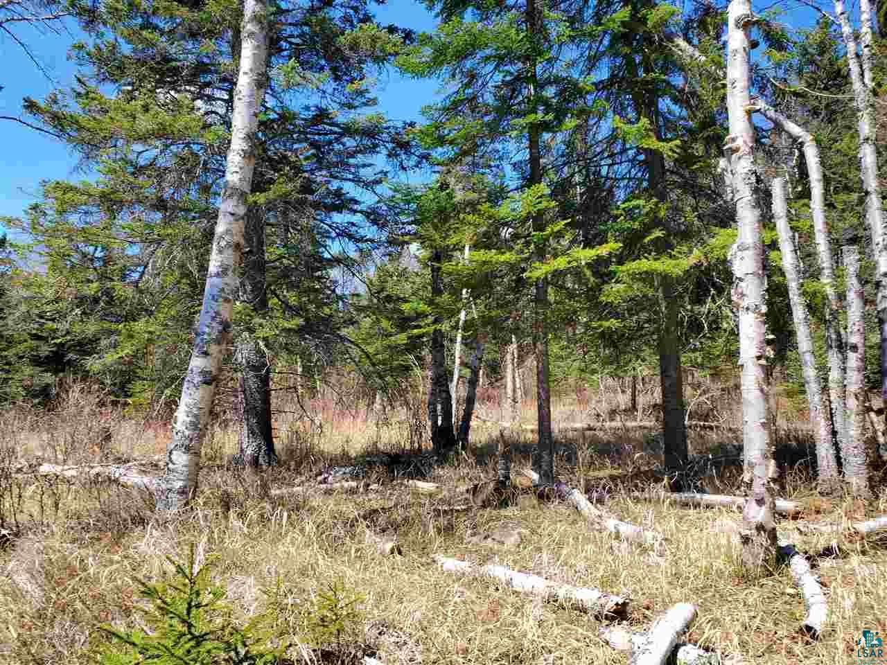 Lot 2 Hoaglund Dr Tofte MN 55615 6126795 image7