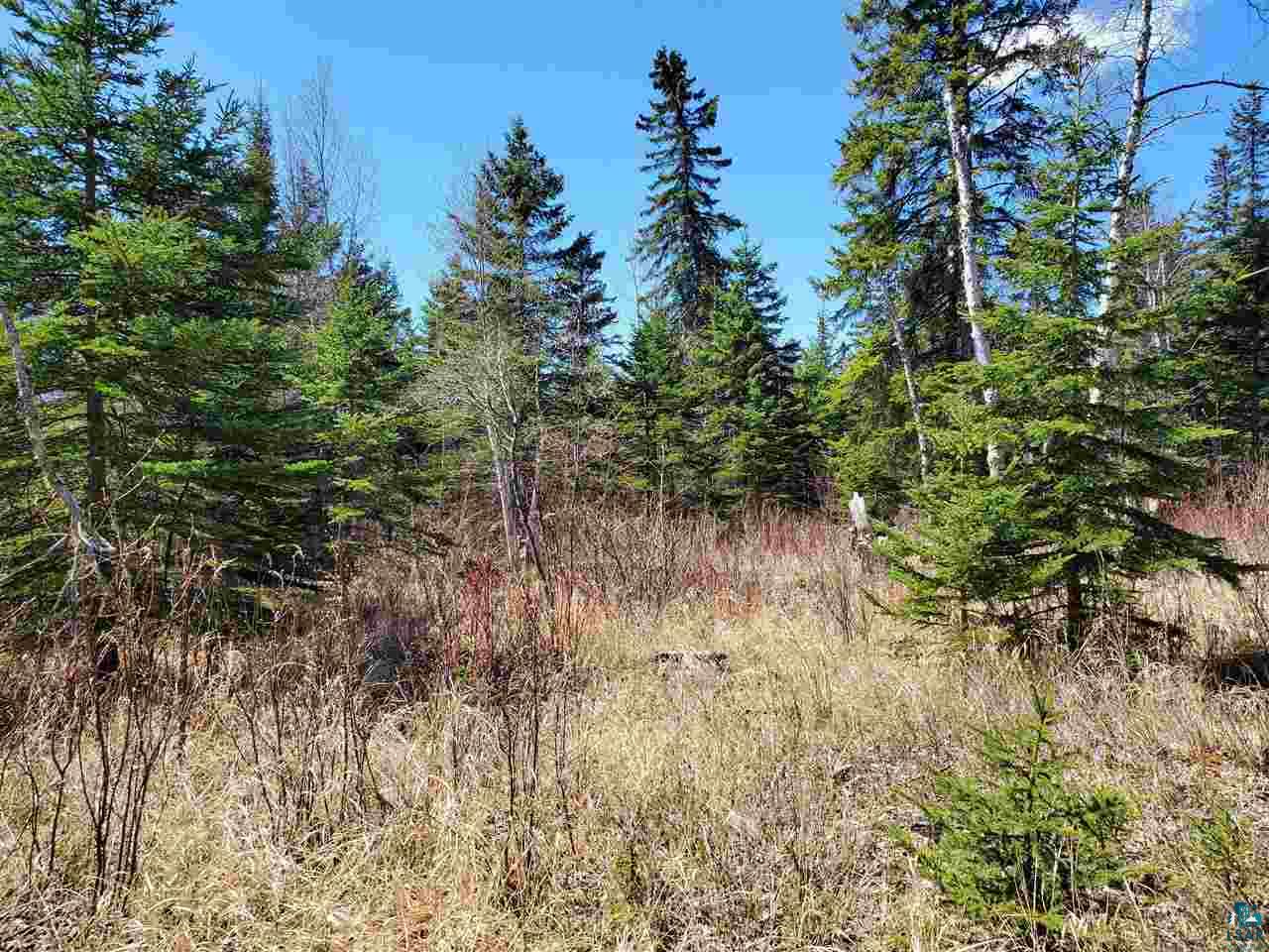 Lot 2 Hoaglund Dr Tofte MN 55615 6126795 image8