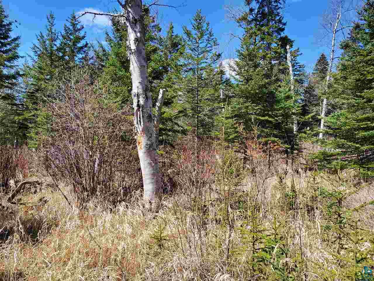 Lot 2 Hoaglund Dr Tofte MN 55615 6126795 image9