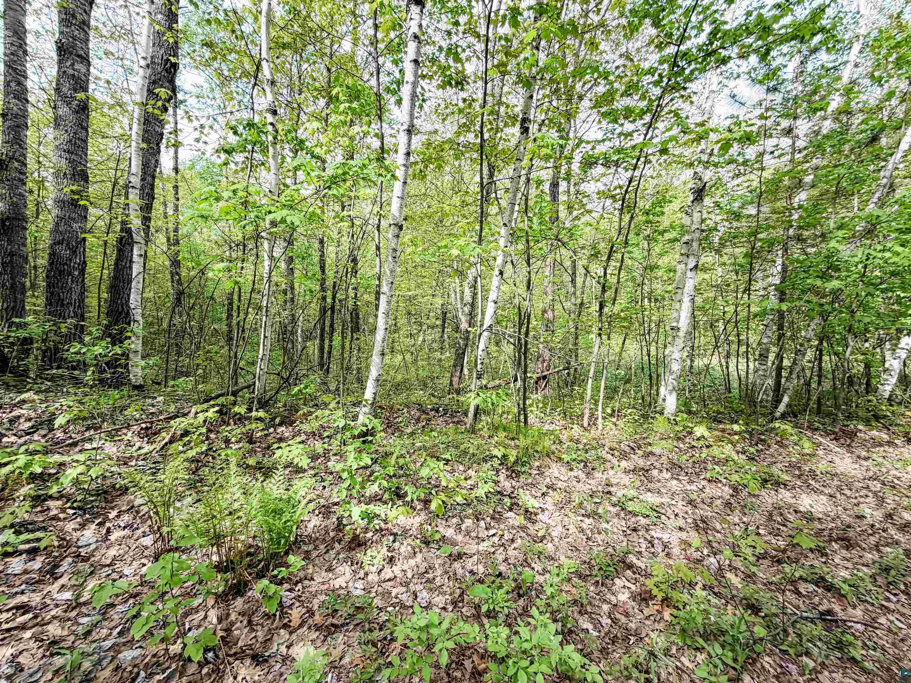 Lot 2 Peterson Rd Wascott WI 54859 6125208 image1
