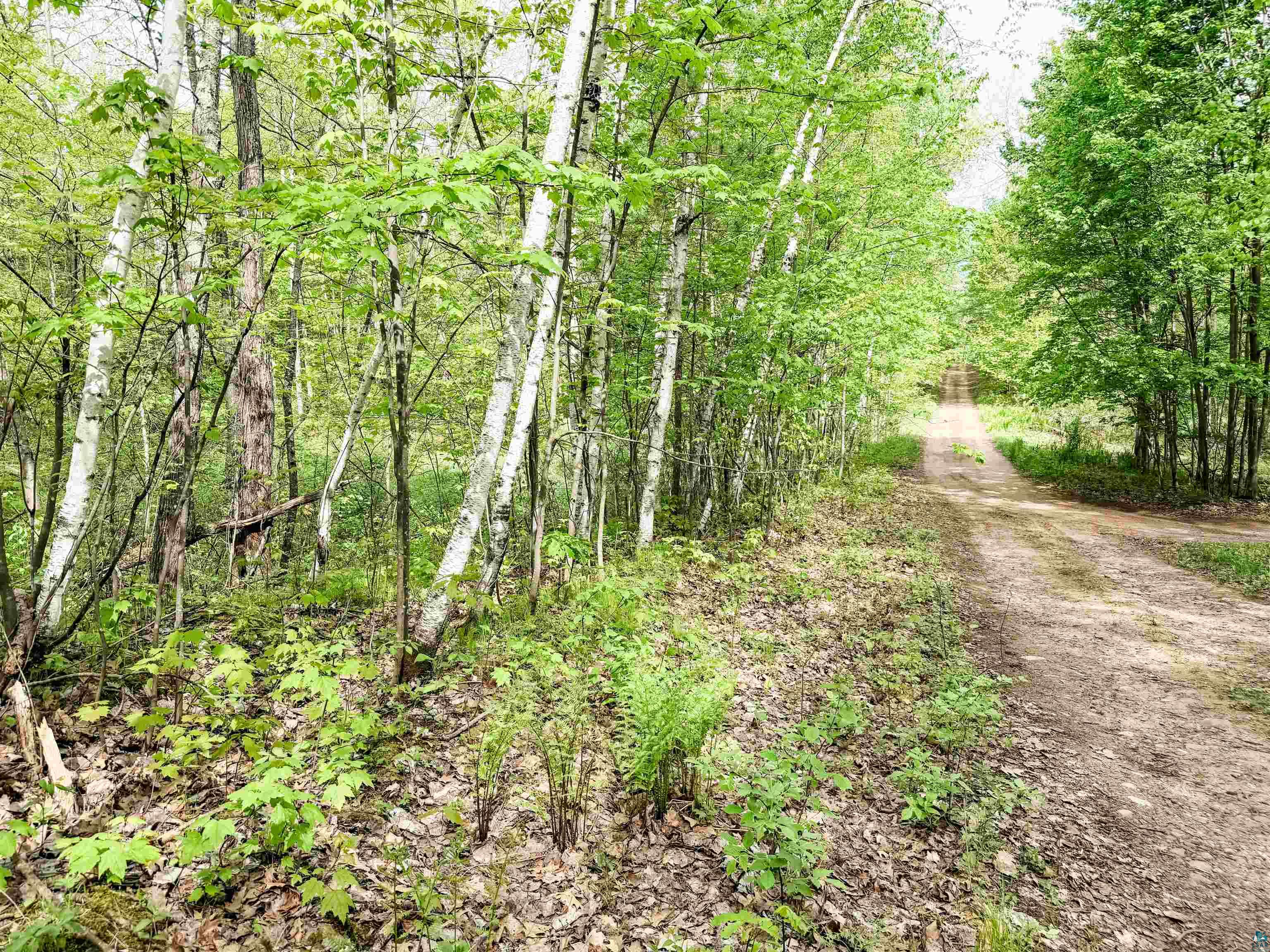 Lot 2 Peterson Rd Wascott WI 54859 6125208 image3