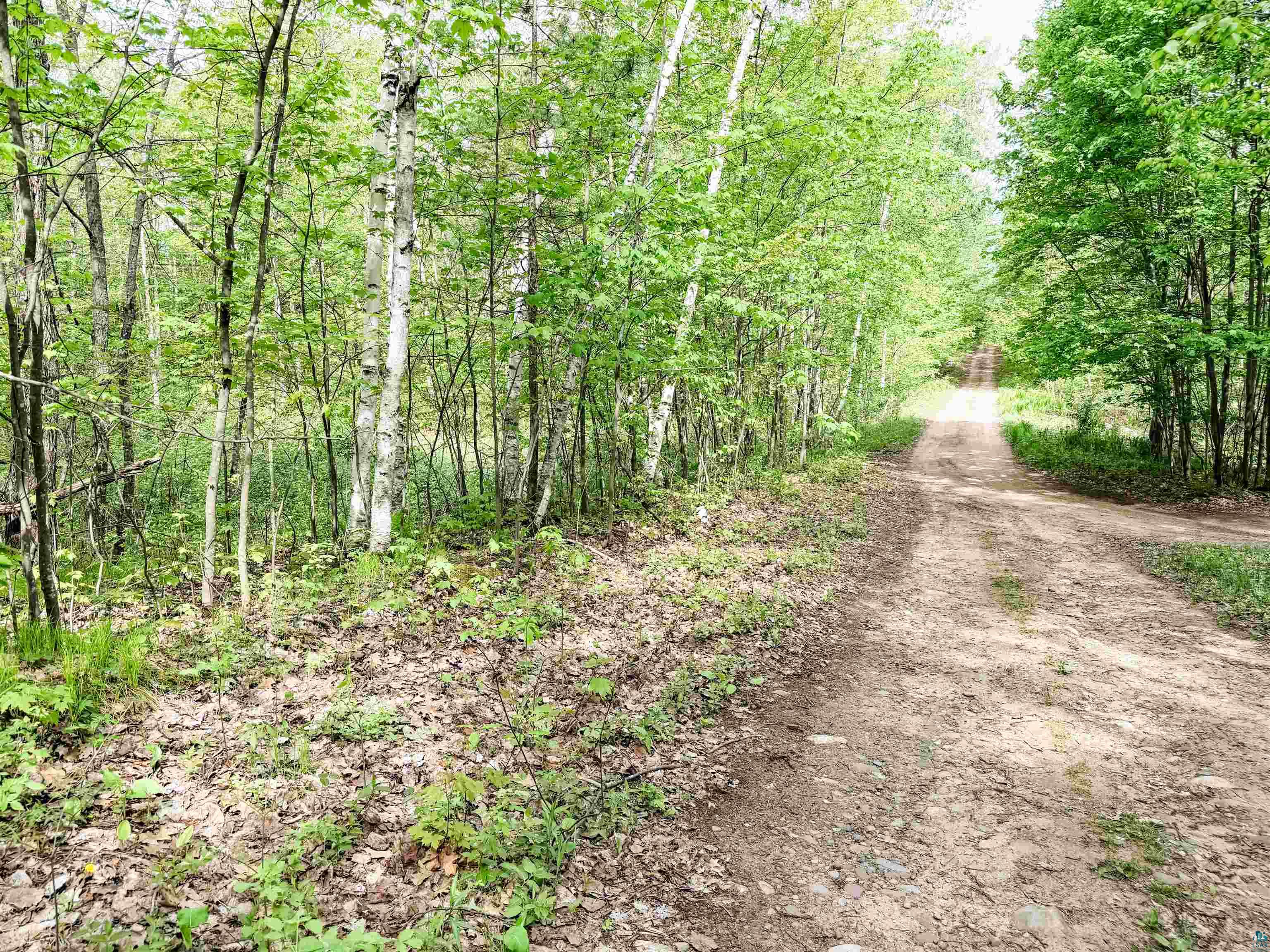 Lot 2 Peterson Rd Wascott WI 54859 6125208 image4