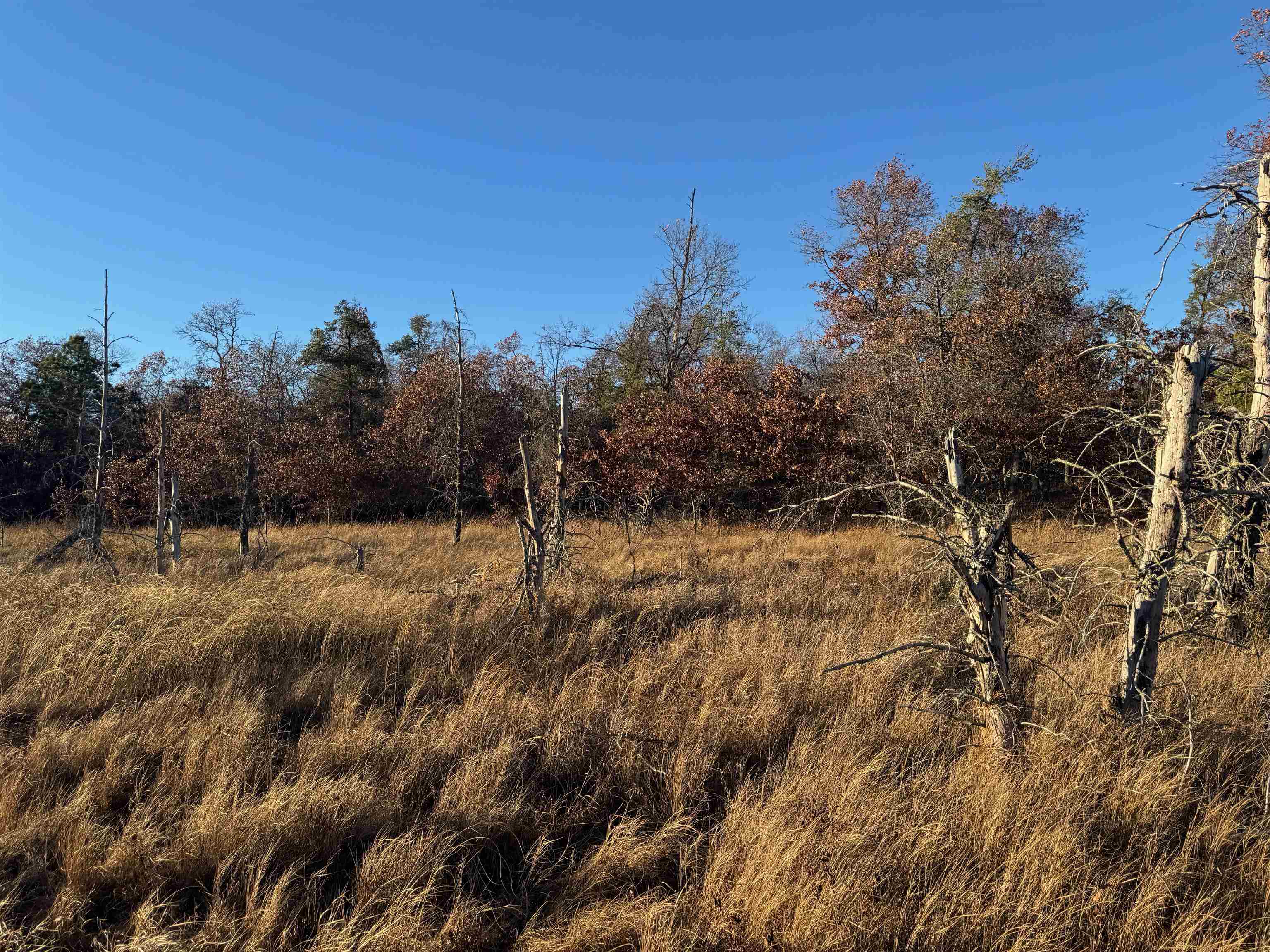 Lot 2 Sandy Shores Dr Minong WI 54859 - Sand Lake 6122881 image33