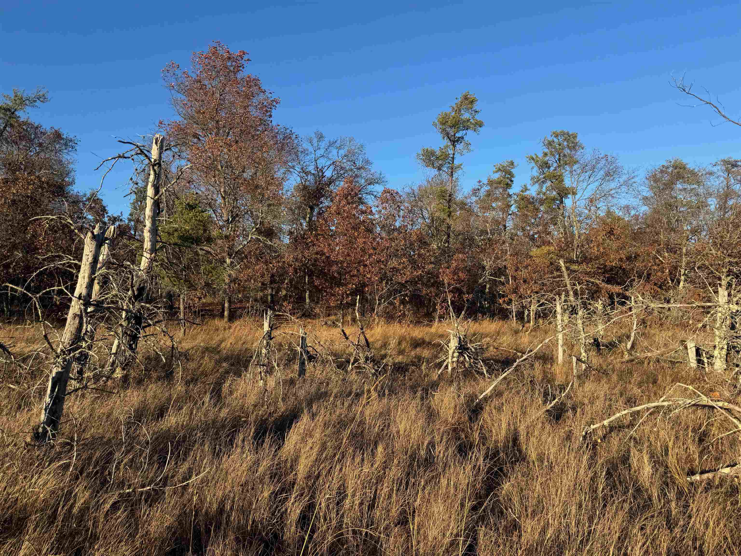 Lot 2 Sandy Shores Dr Minong WI 54859 - Sand Lake 6122881 image34