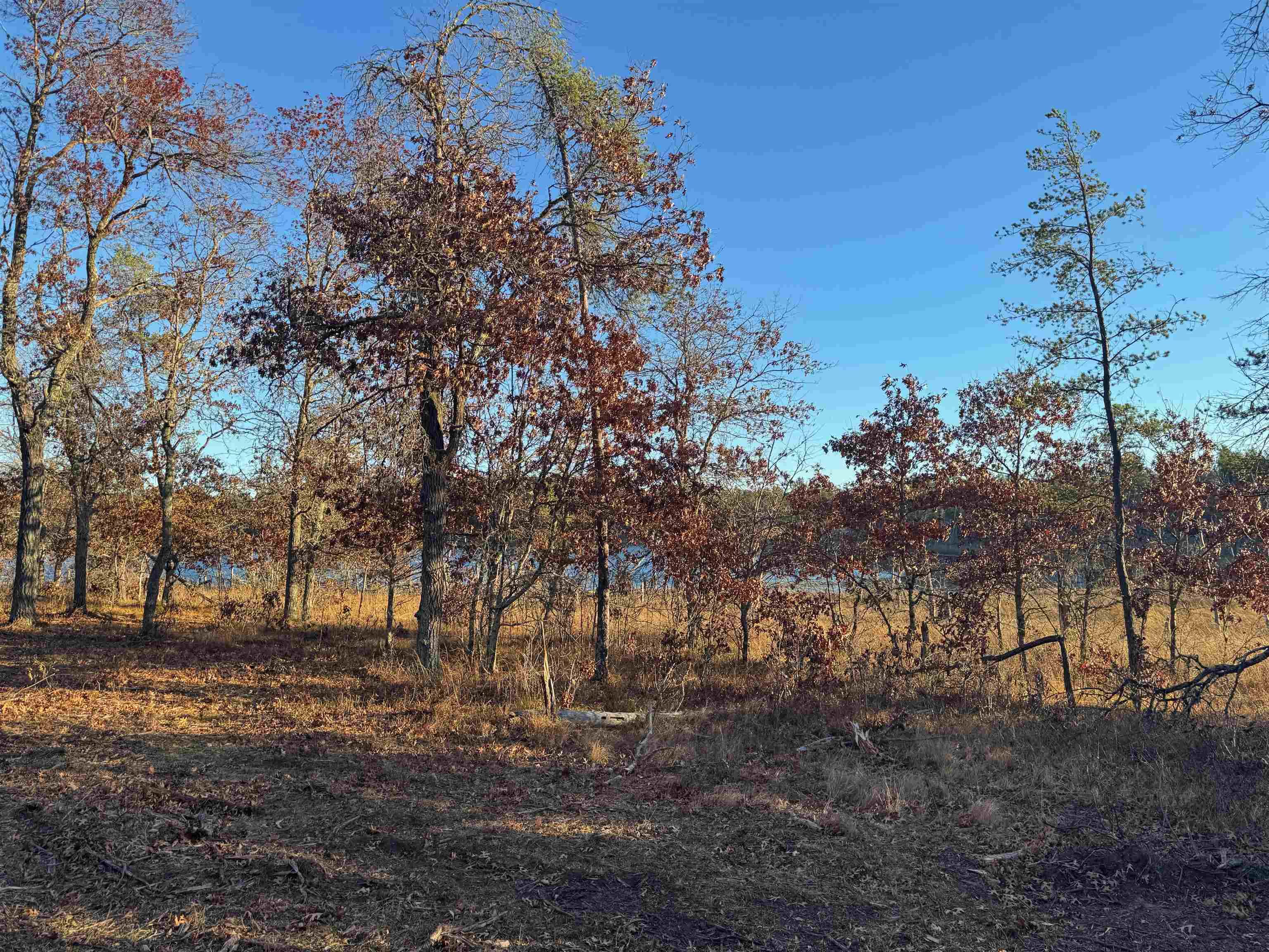 Lot 2 Sandy Shores Dr Minong WI 54859 - Sand Lake 6122881 image44