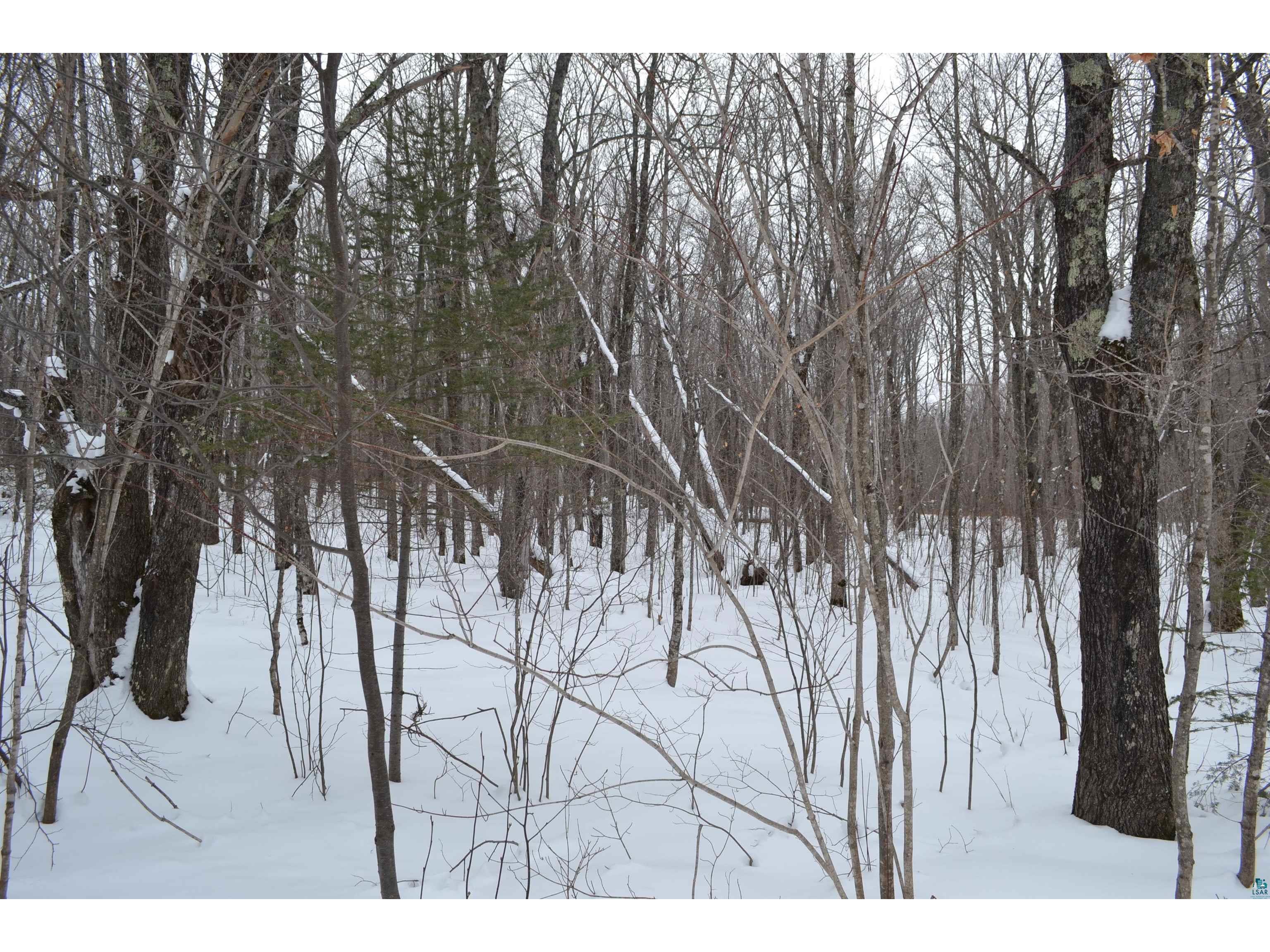 Lot 2 Sawmill Ln Lutsen MN 55612 - Caribou 6111271 image1