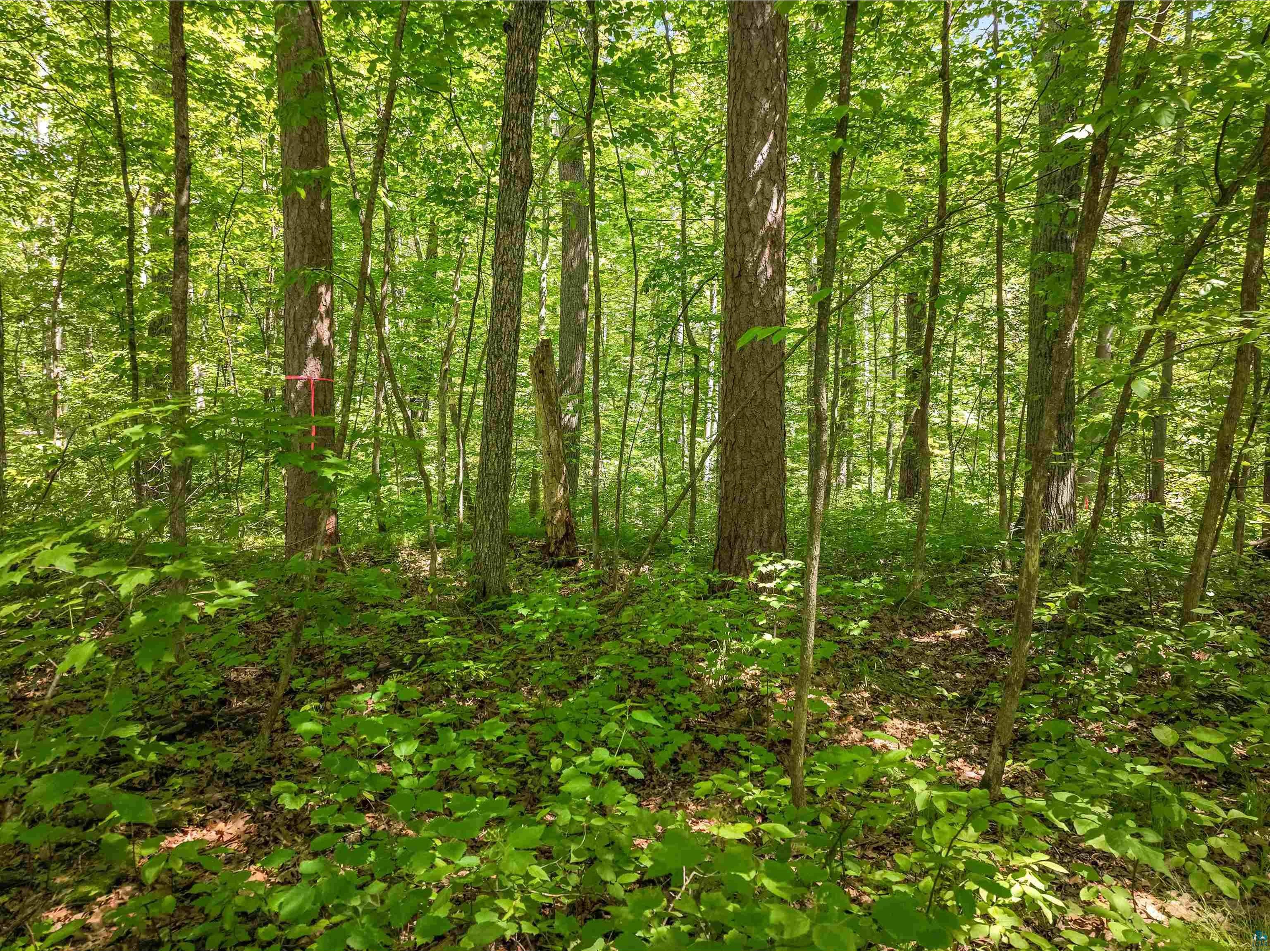 Lot 2 Thoroughfare Ln Stone Lake WI 54876 - Lac Courte Oreilles 6120574 image4