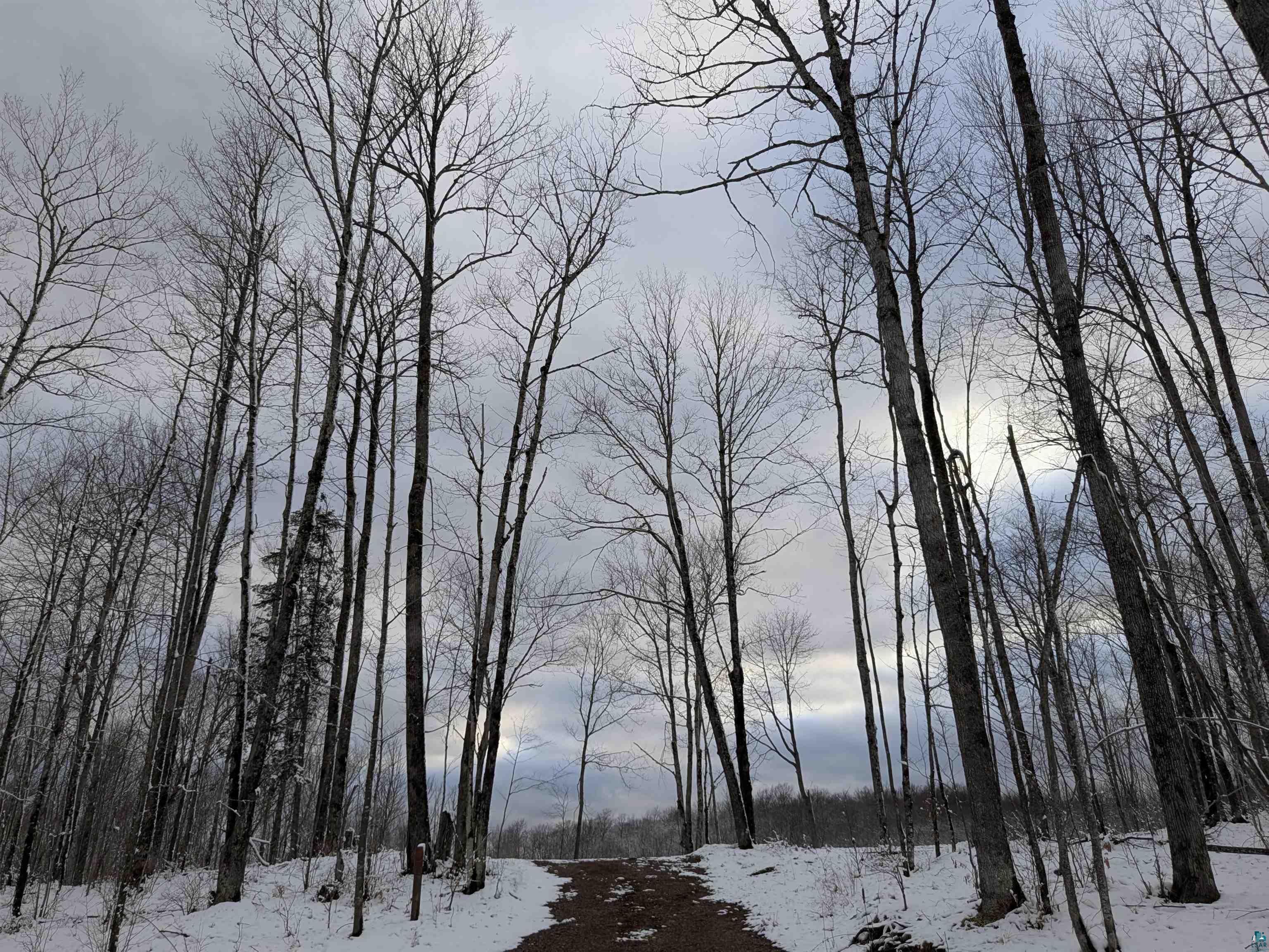Lot 2 Vahtera Heights Dr Mellen WI 54546 6124591 image12