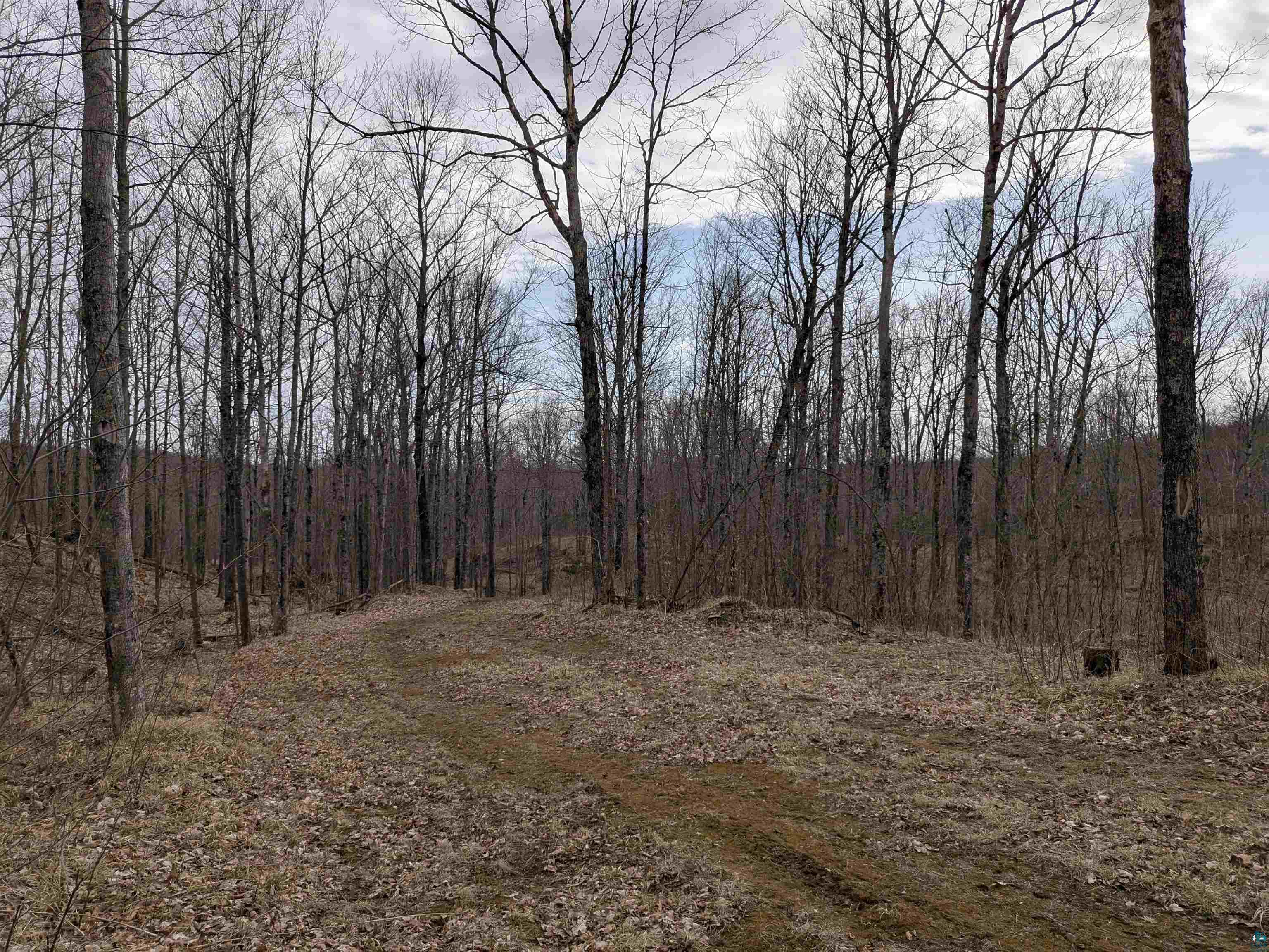 Lot 2 Vahtera Heights Dr Mellen WI 54546 6124591 image6