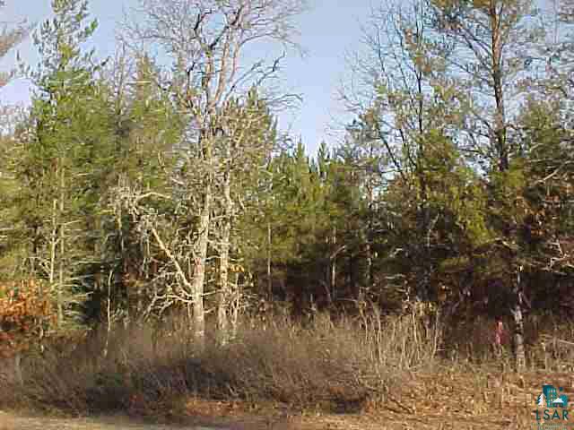 Lot 3 BEAR TRACK RD Minong WI 54873 6063025 image2