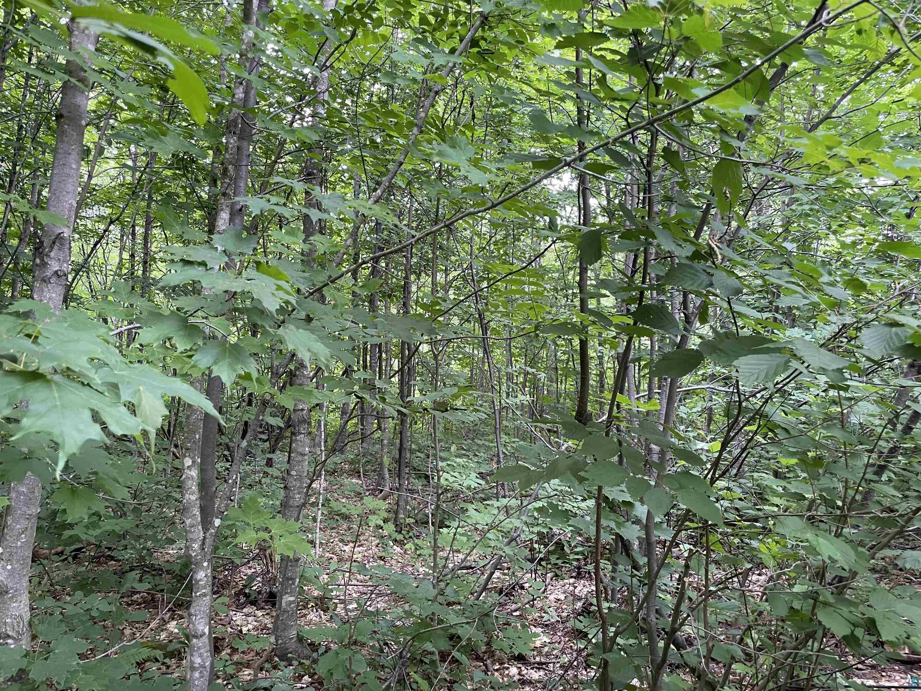 Lot 3 Block 5 Jonvick Ridge Lutsen MN 55604 6109569 image1
