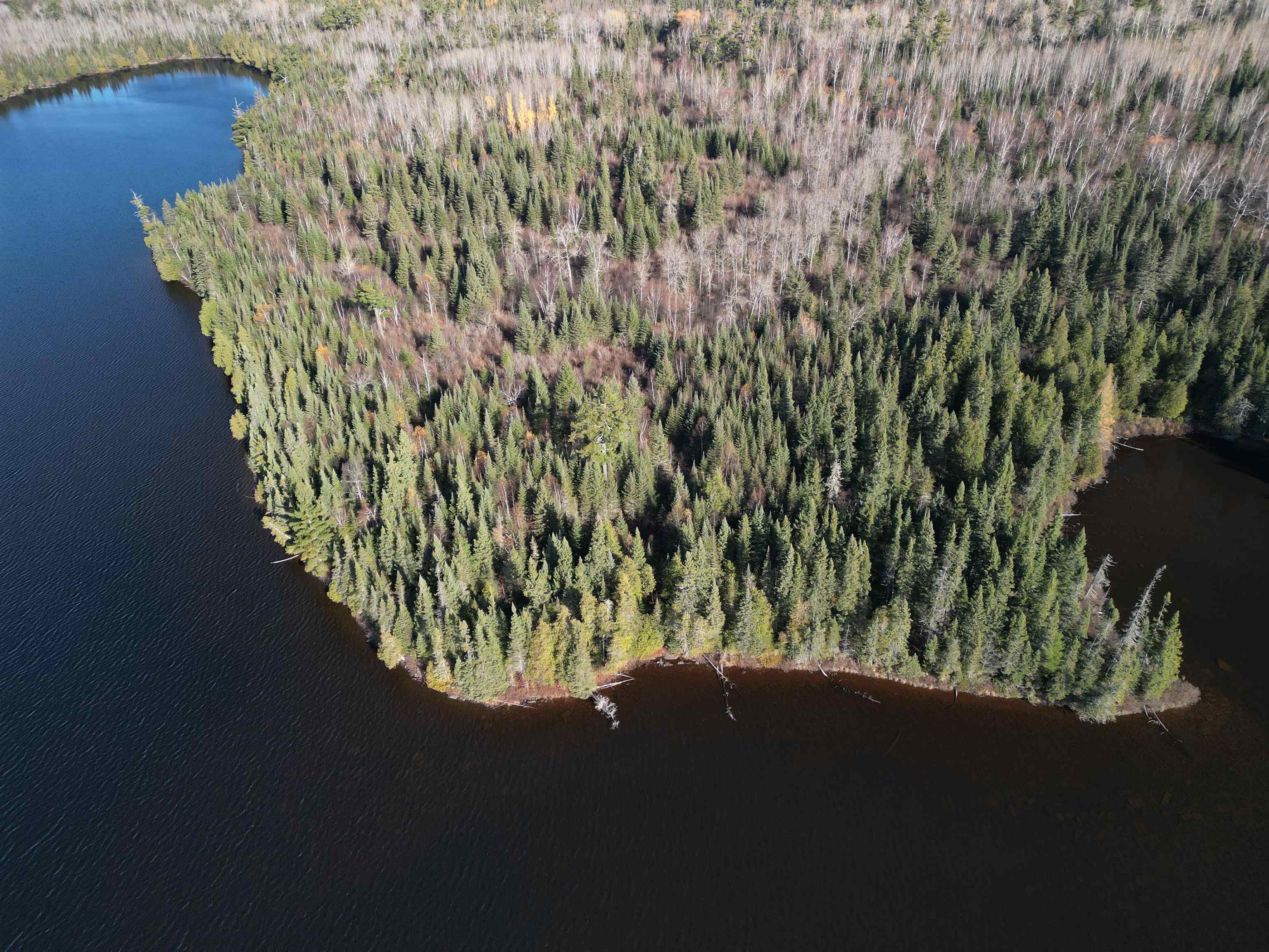 Lot 3 Fullerton Rd Hovland MN 55606 - Devilfish 6122624 image15