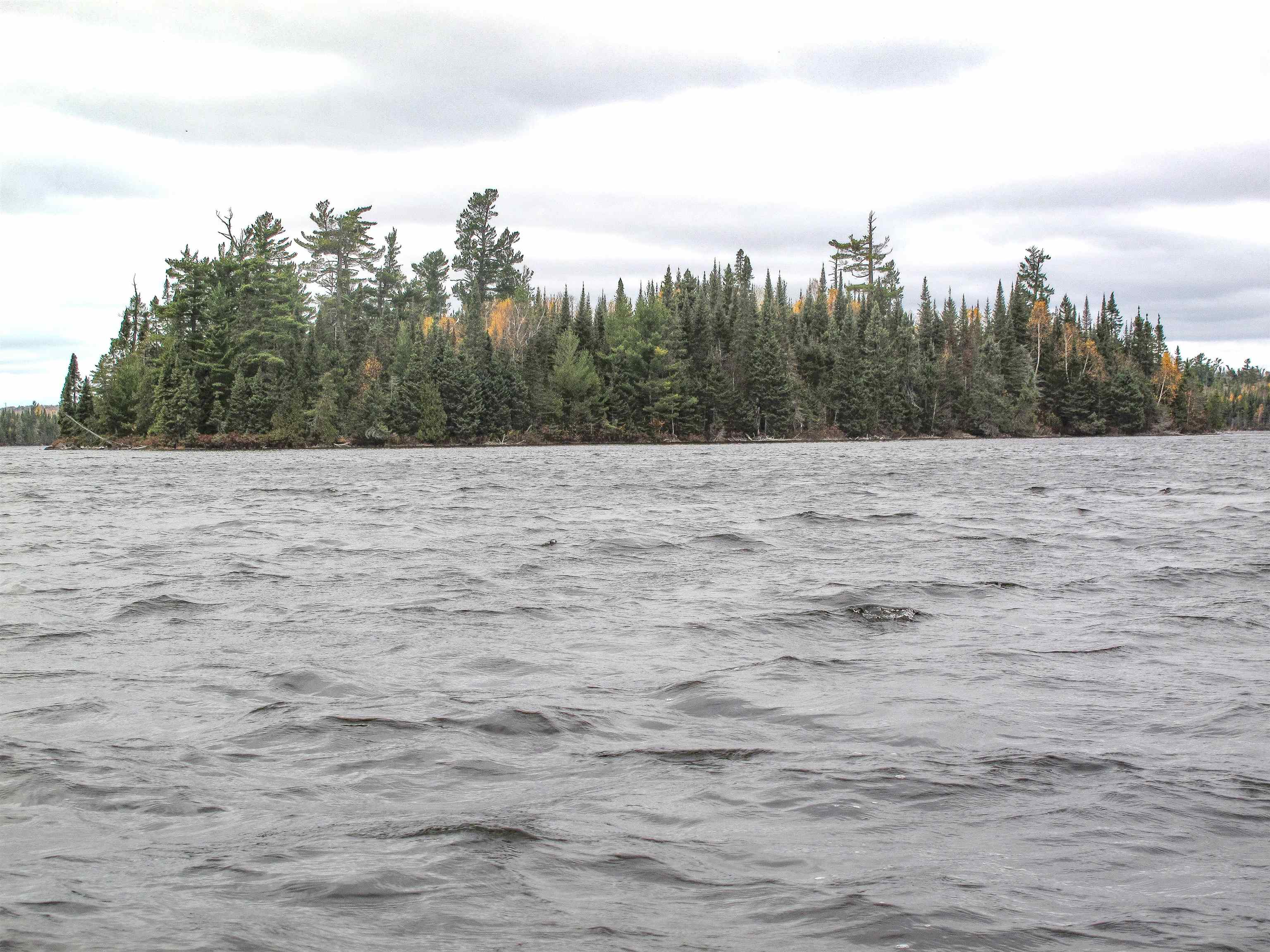 Lot 3 Fullerton Rd Hovland MN 55606 - Devilfish 6122624 image25