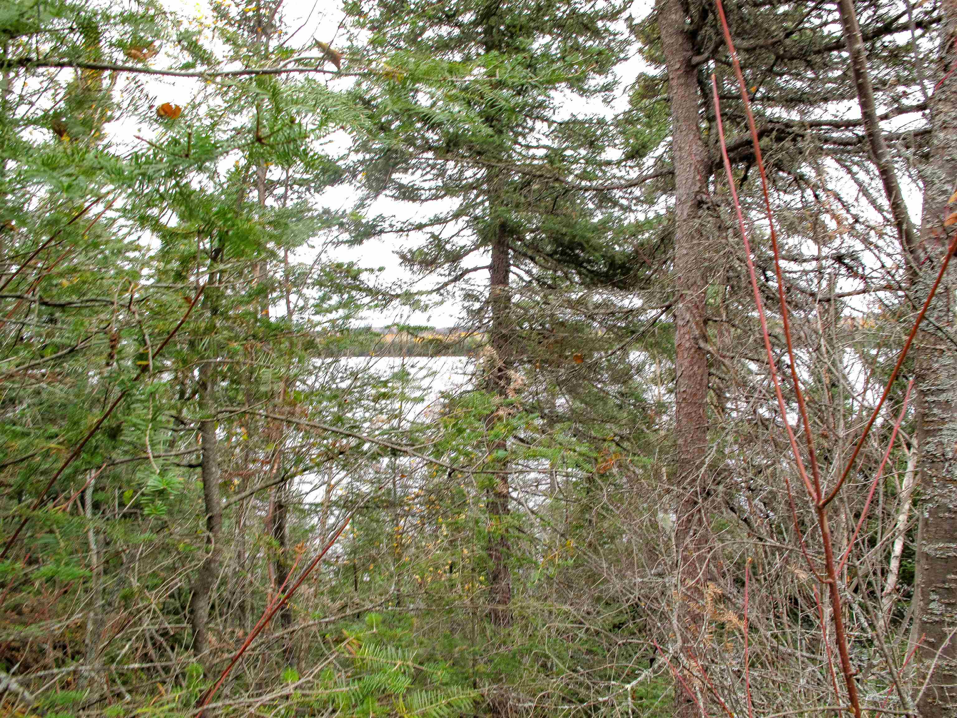 Lot 3 Fullerton Rd Hovland MN 55606 - Devilfish 6122624 image29