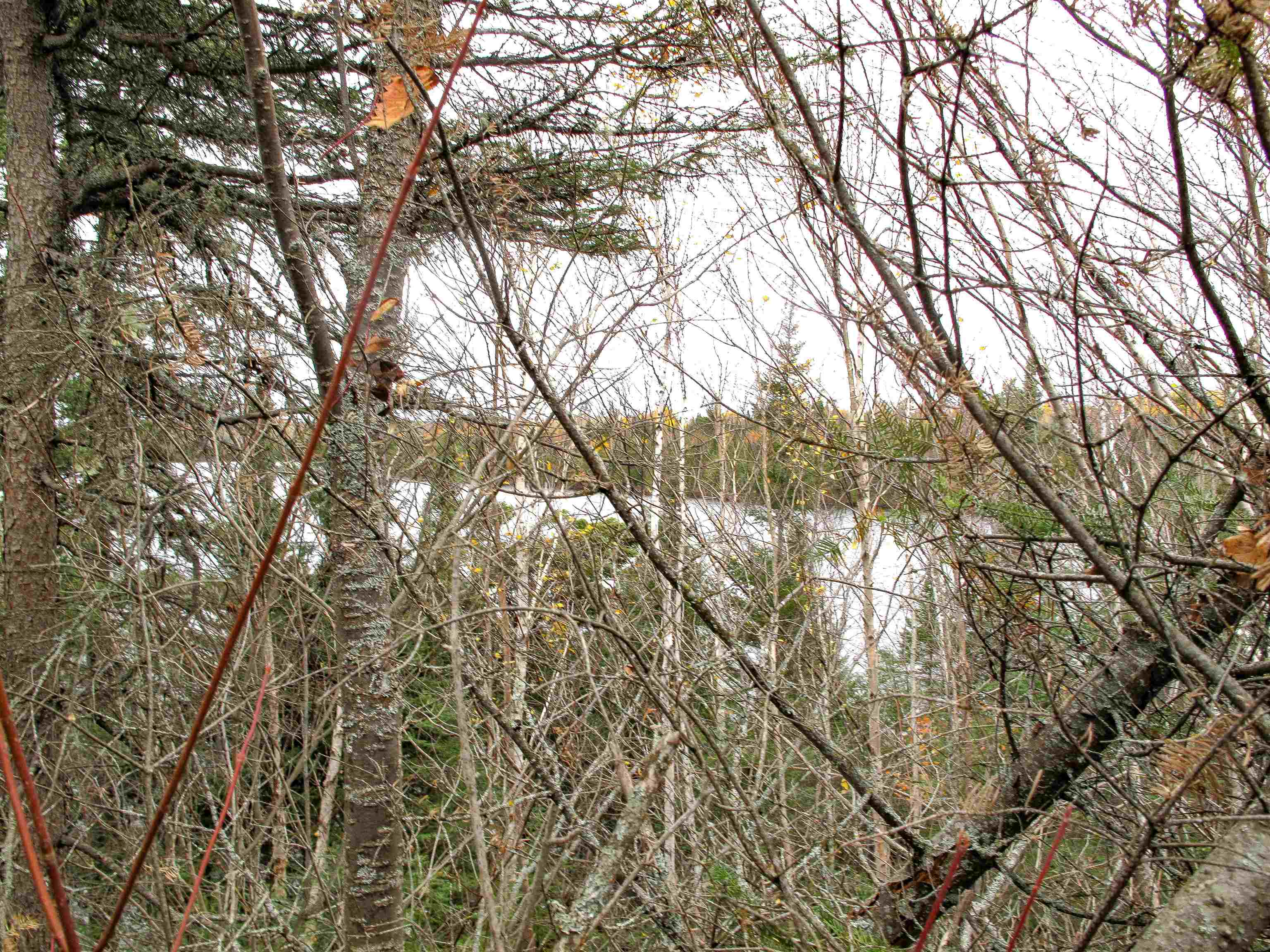 Lot 3 Fullerton Rd Hovland MN 55606 - Devilfish 6122624 image30