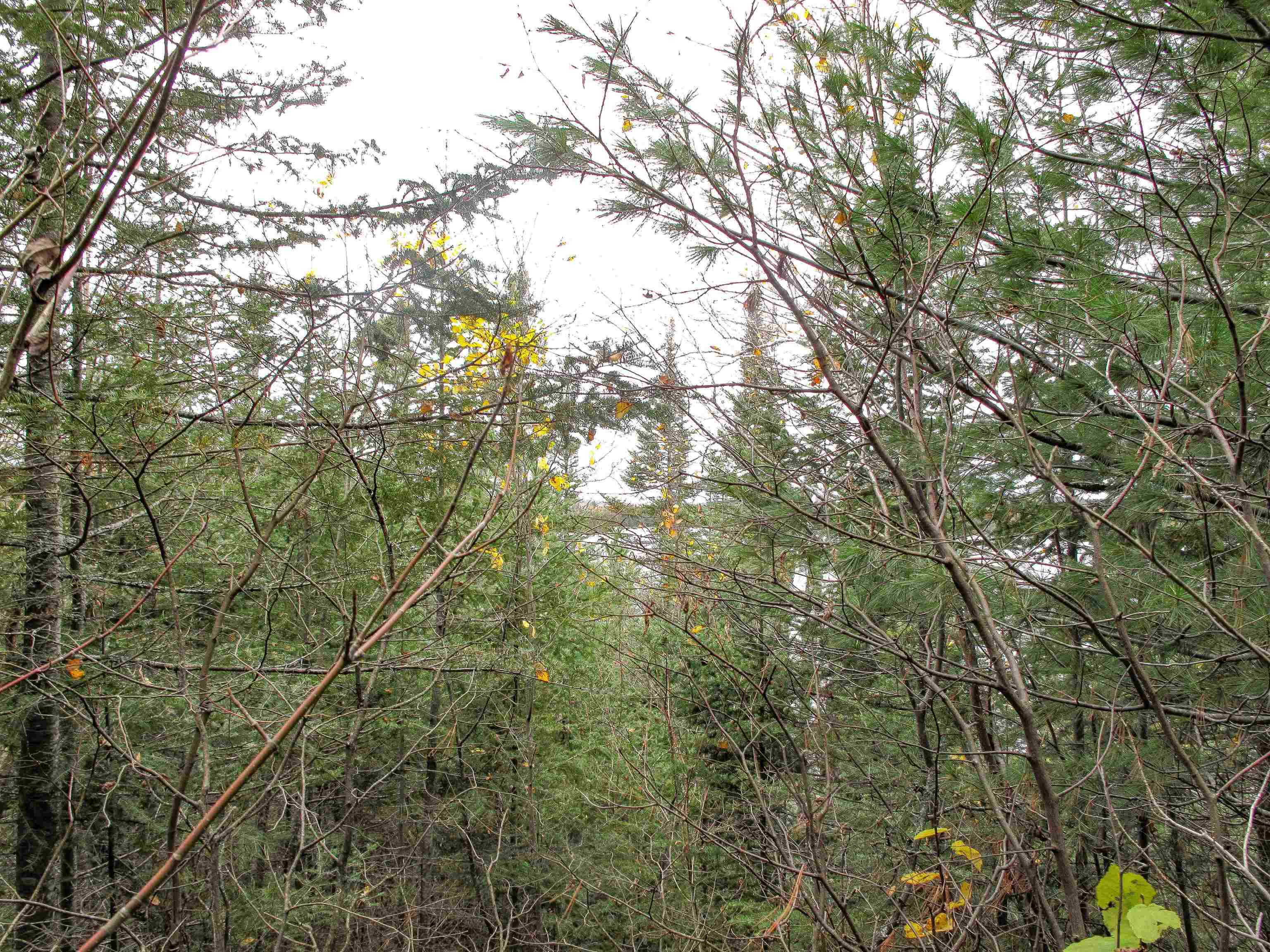 Lot 3 Fullerton Rd Hovland MN 55606 - Devilfish 6122624 image31