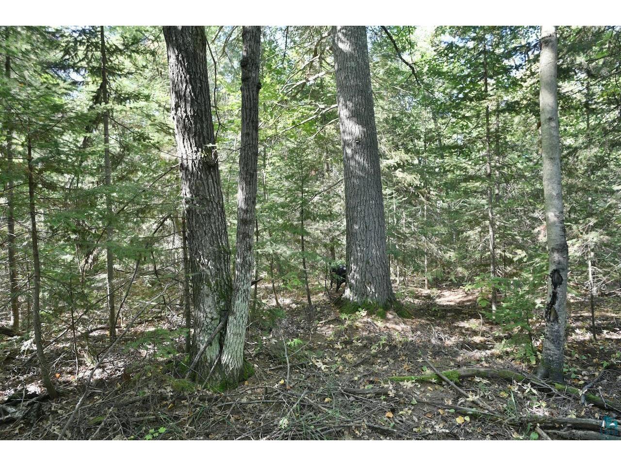 Lot 3 Mountain Rd Cornucopia WI 54827 6116310 image1