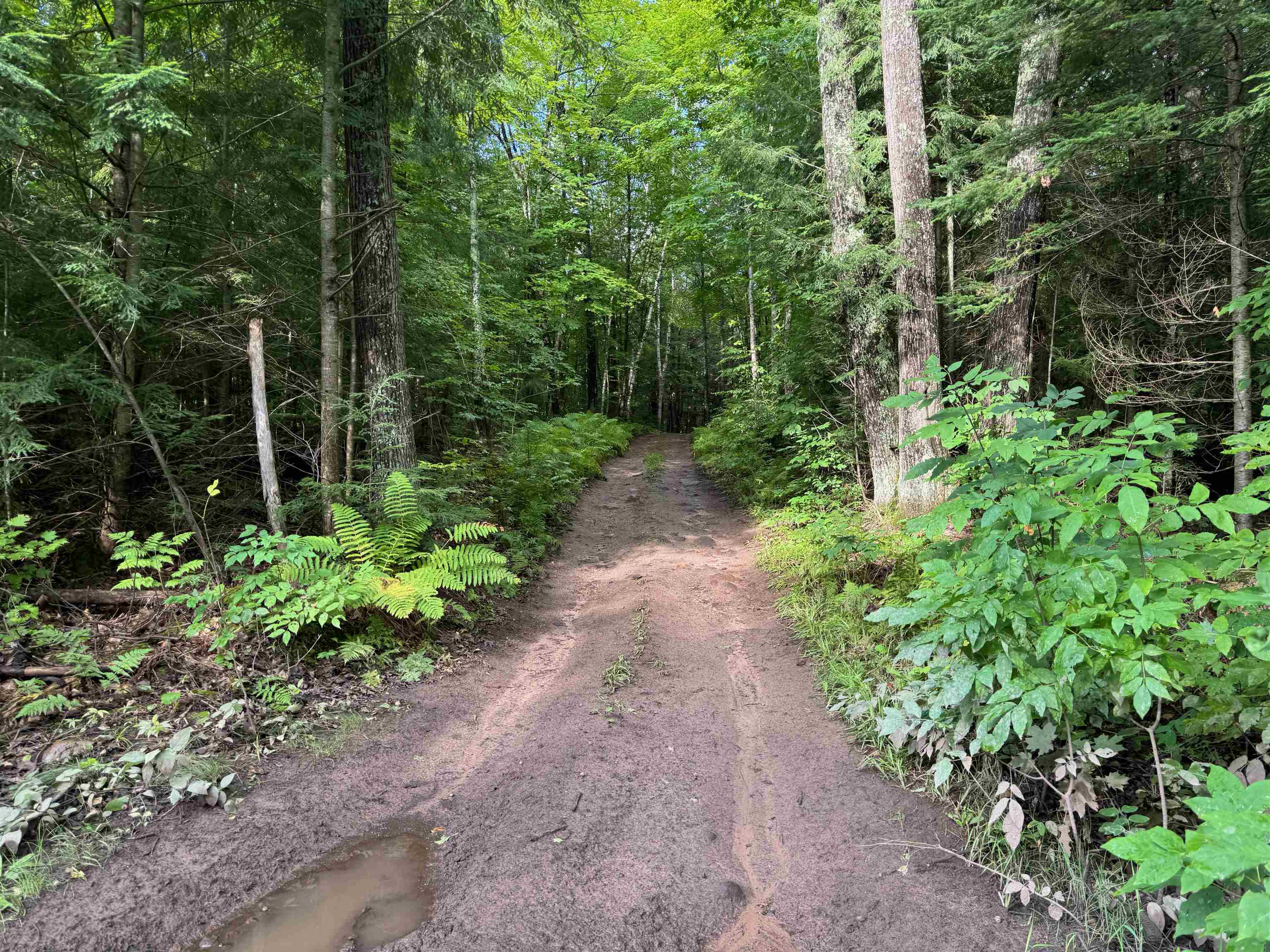 Lot 3 N Scheers Road Hayward WI 54843 6118256 image1