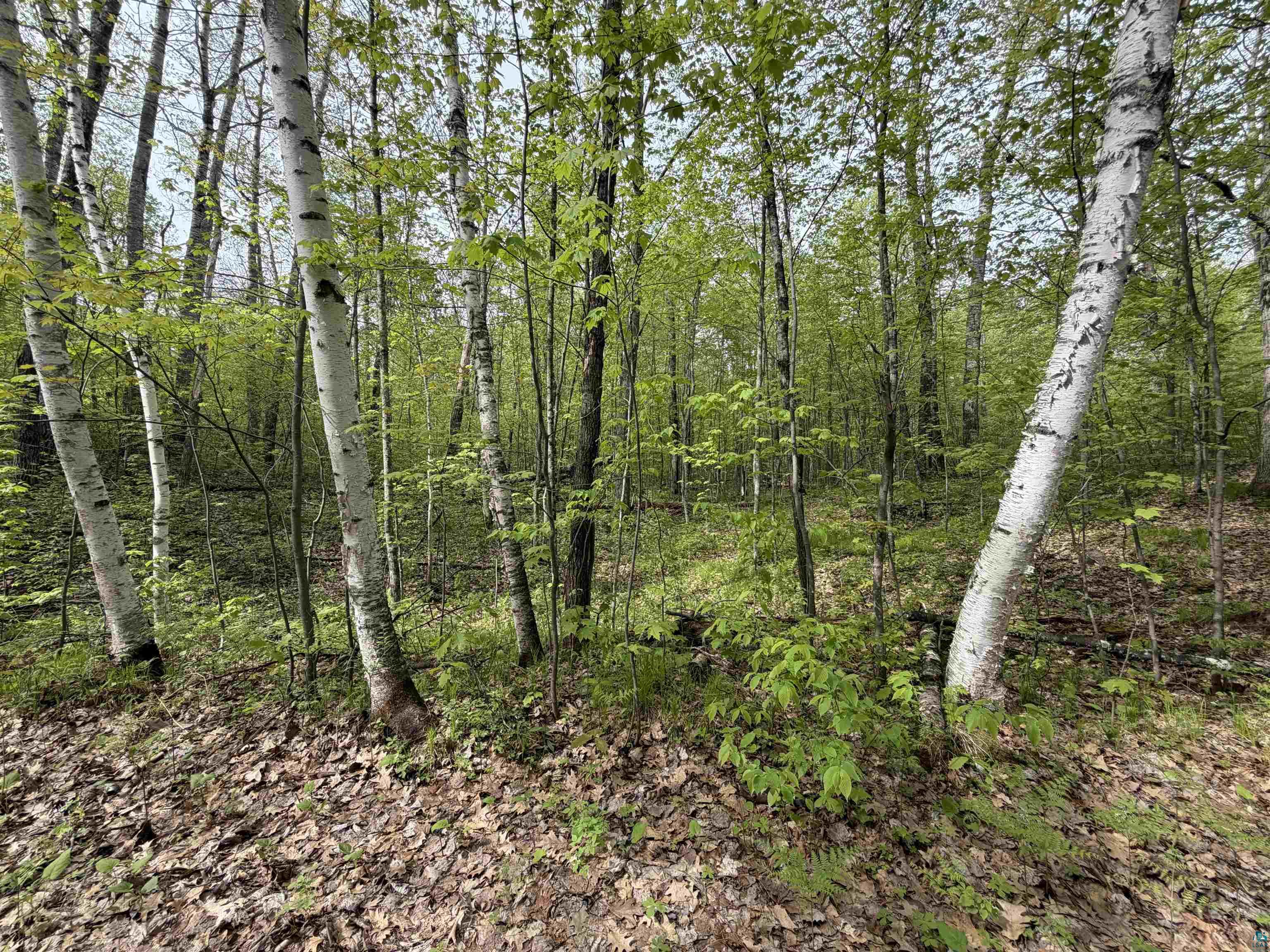 Lot 3 Peterson Rd Wascott WI 54859 6125209 image1