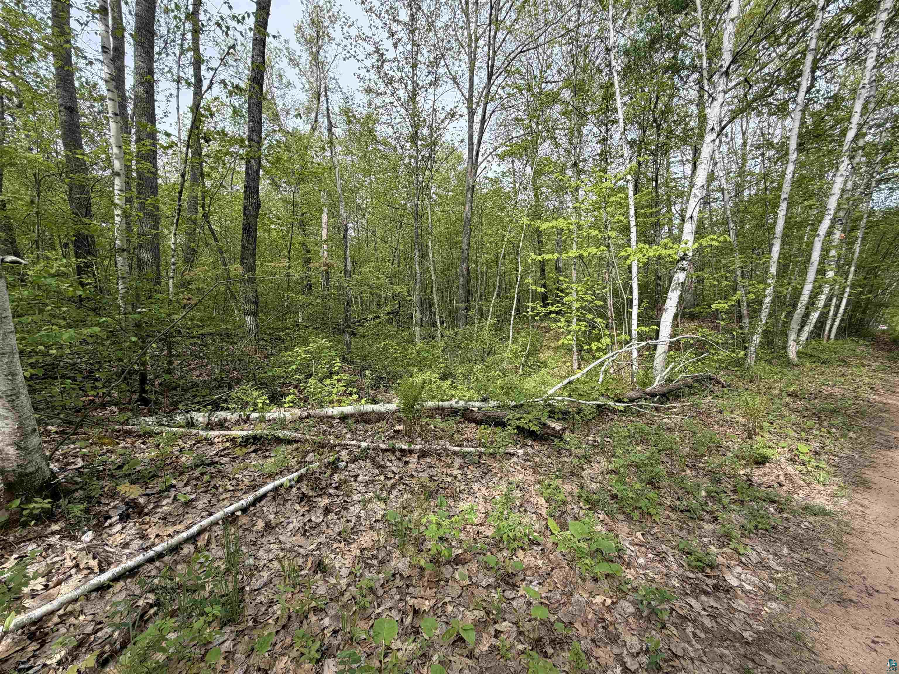 Lot 3 Peterson Rd Wascott WI 54859 6125209 image3