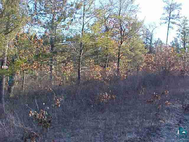 Lot 4 BEAR TRACK RD Minong WI 54873 6063026 image2
