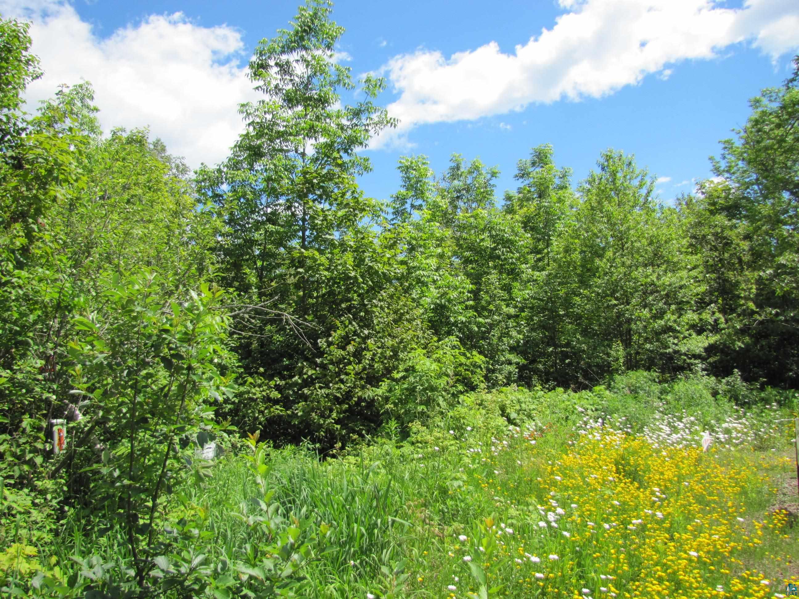 Lot 4 Blk 5 Jonvick Ridge Lutsen MN 55612 6109461 image1